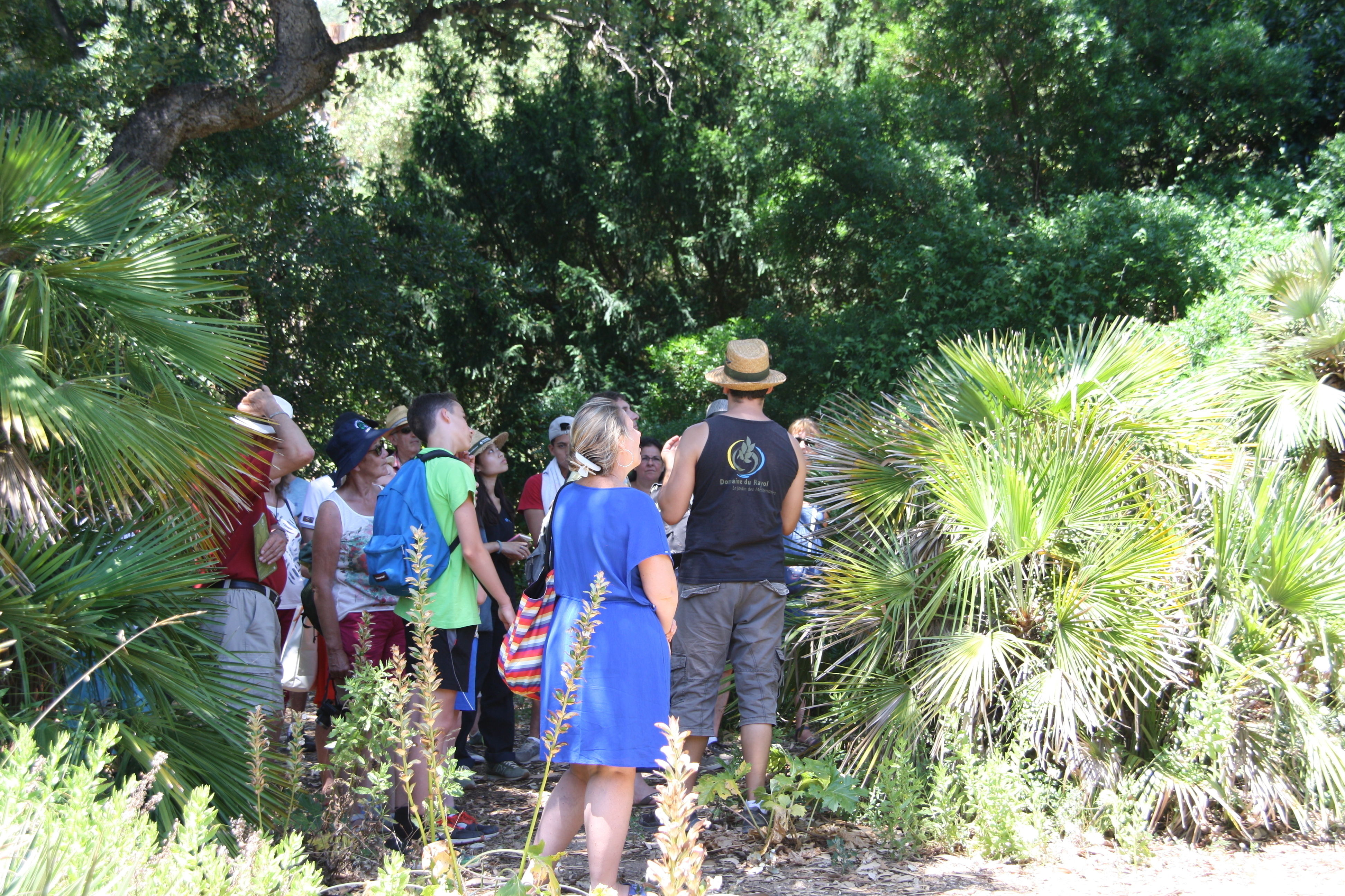 Visites guidées introductives du Jardin