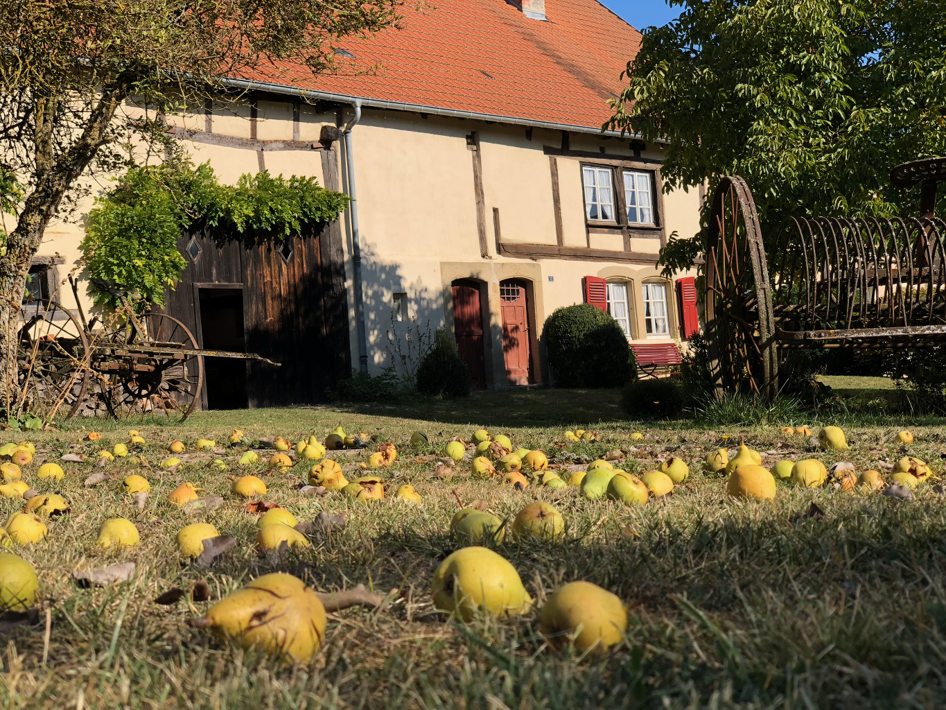 Visite guidée d