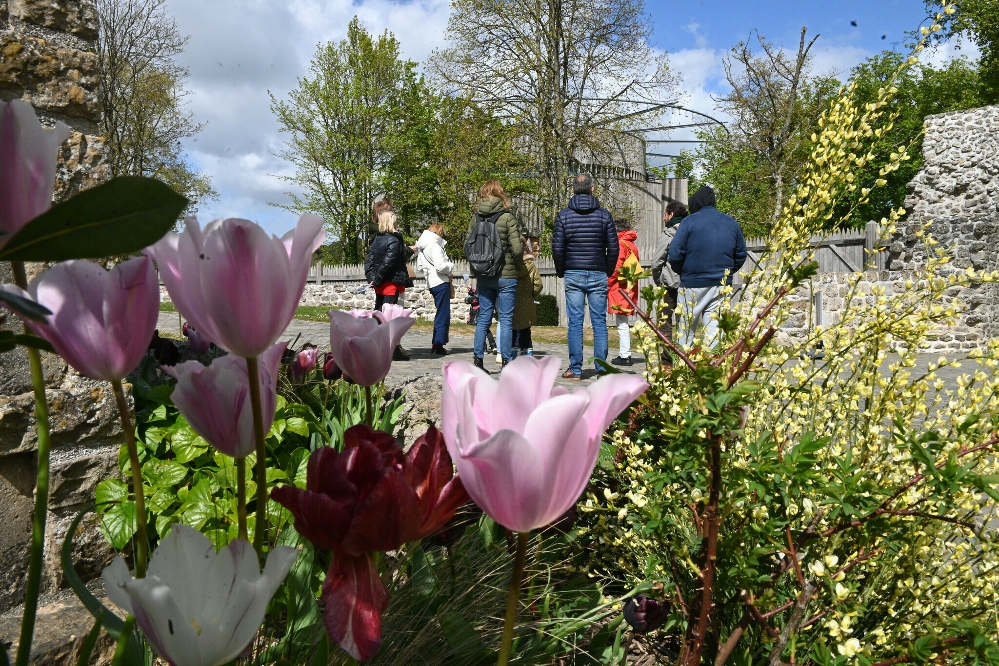 Visite guidée "Murailles et jardins"