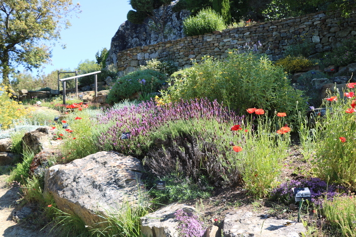 Visite du jardin sec Le 22 sept 2024