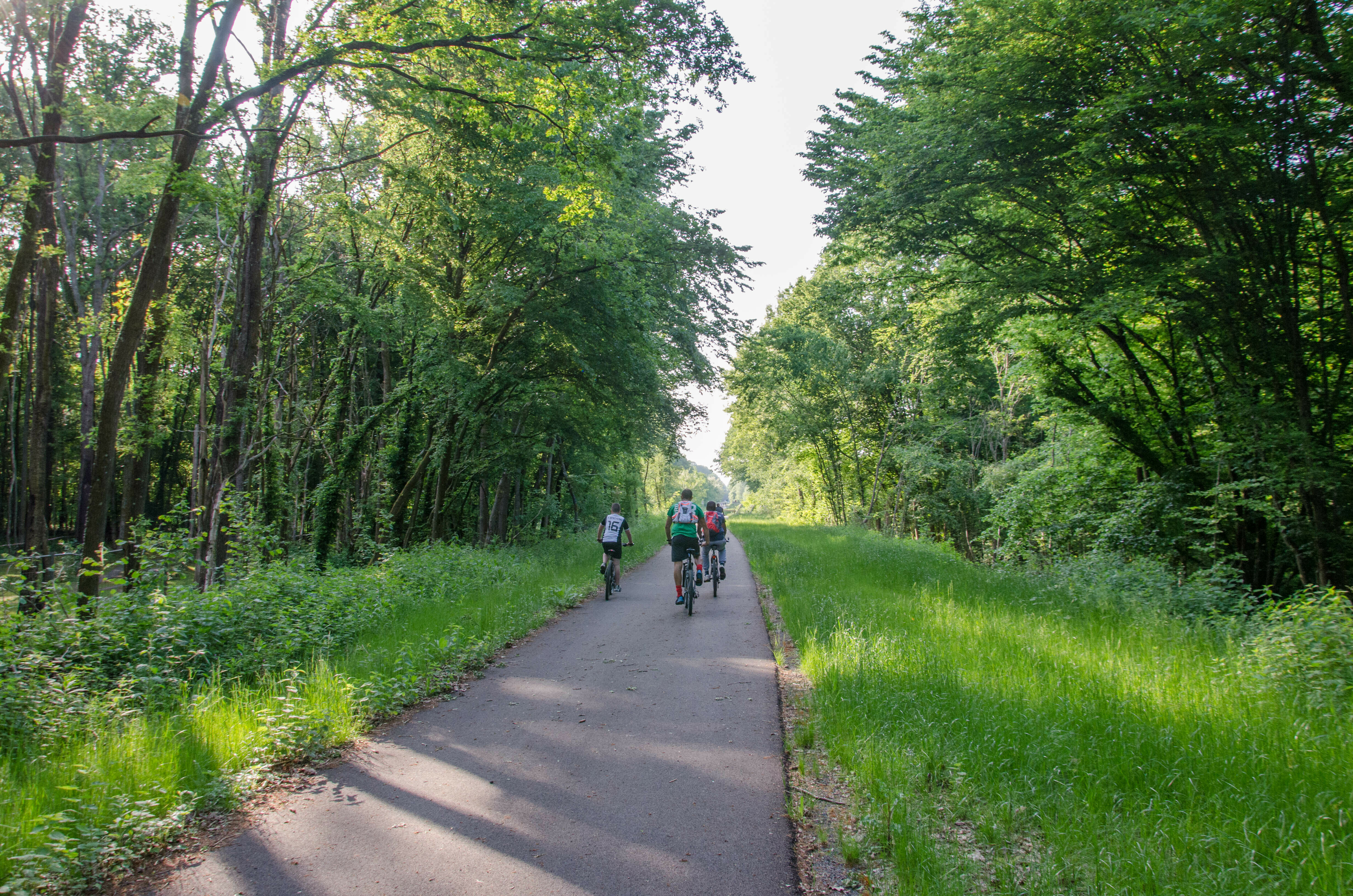 Balade artistique à vélo "Le long de la Grivette"