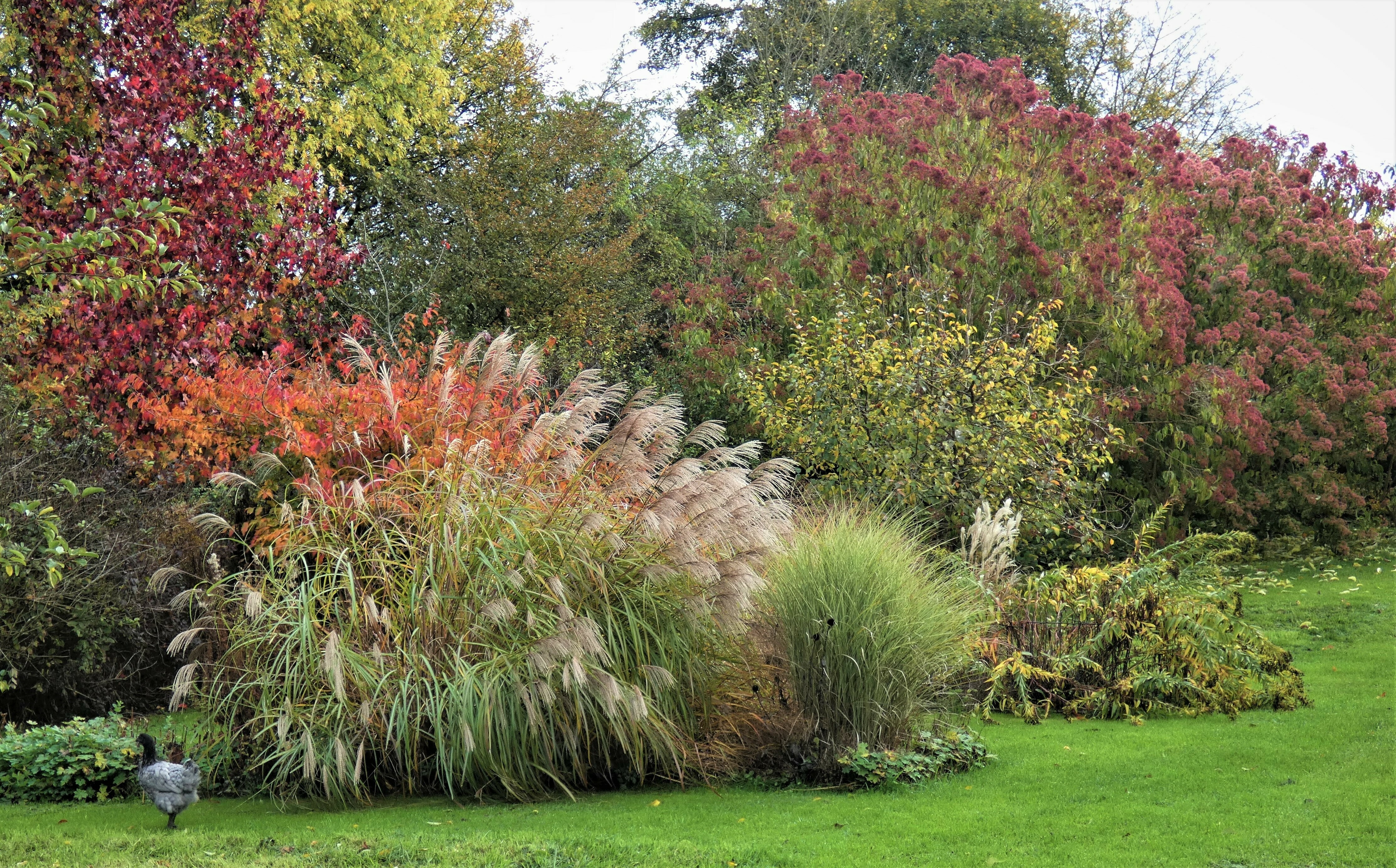 Découvrez un jardin regorgeant de variétés... Du 21 au 22 sept 2024