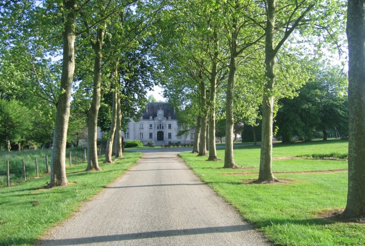 Visite du château de Neuvic-Entier et de son parc