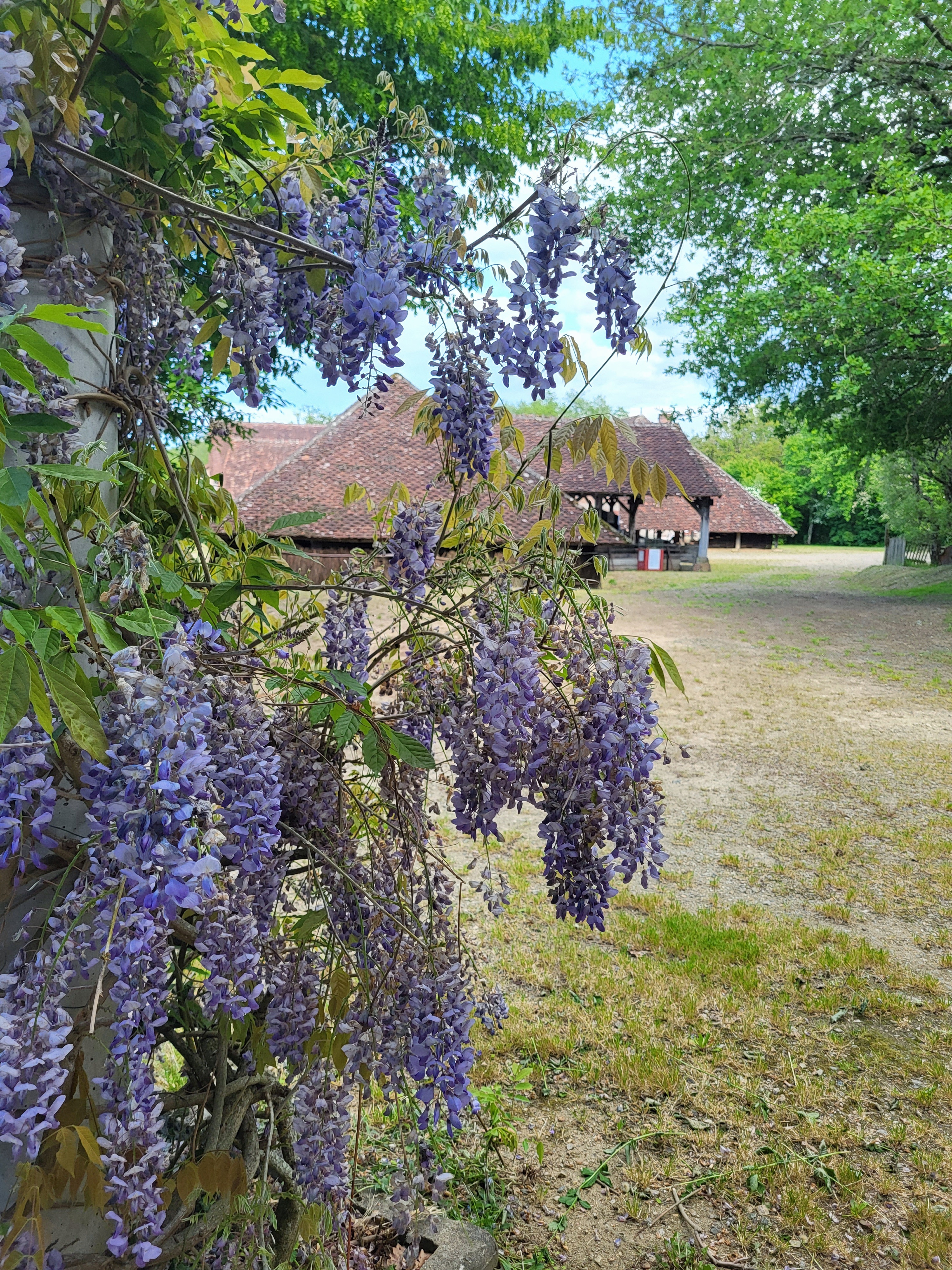 Visite guidée de la Tuilerie de Pouligny Du 21 au 22 sept 2024