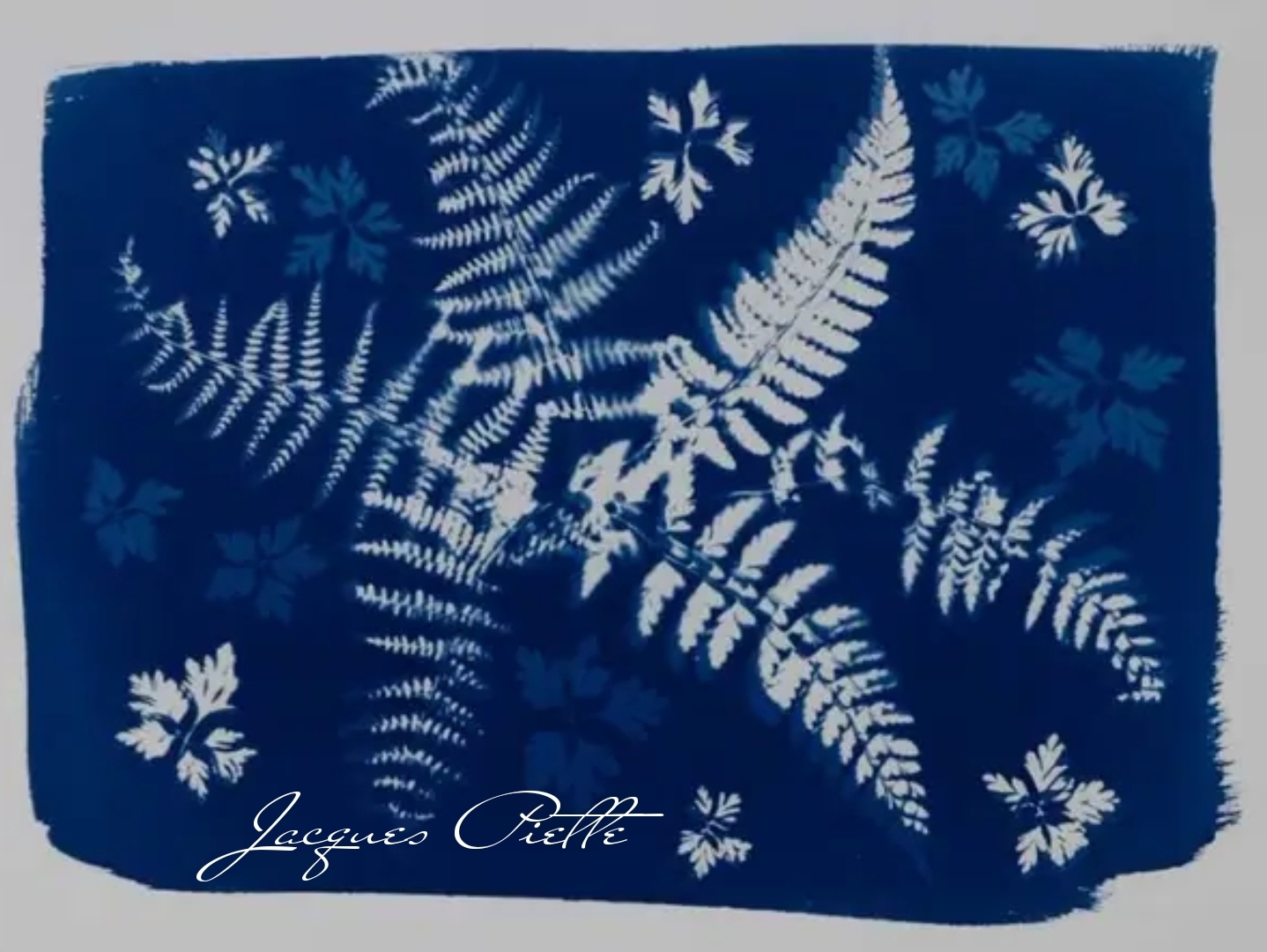 Atelier cyanotype