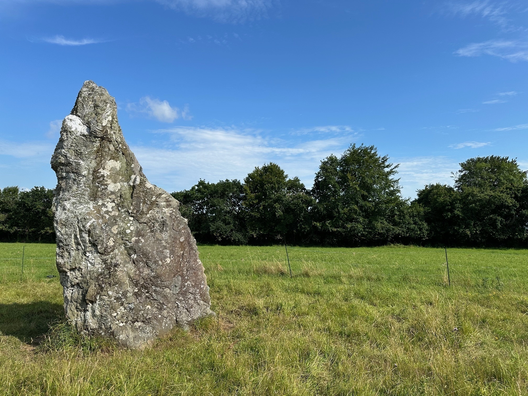 Conférence autour du Menhir du Carn - créneau 11h/12h