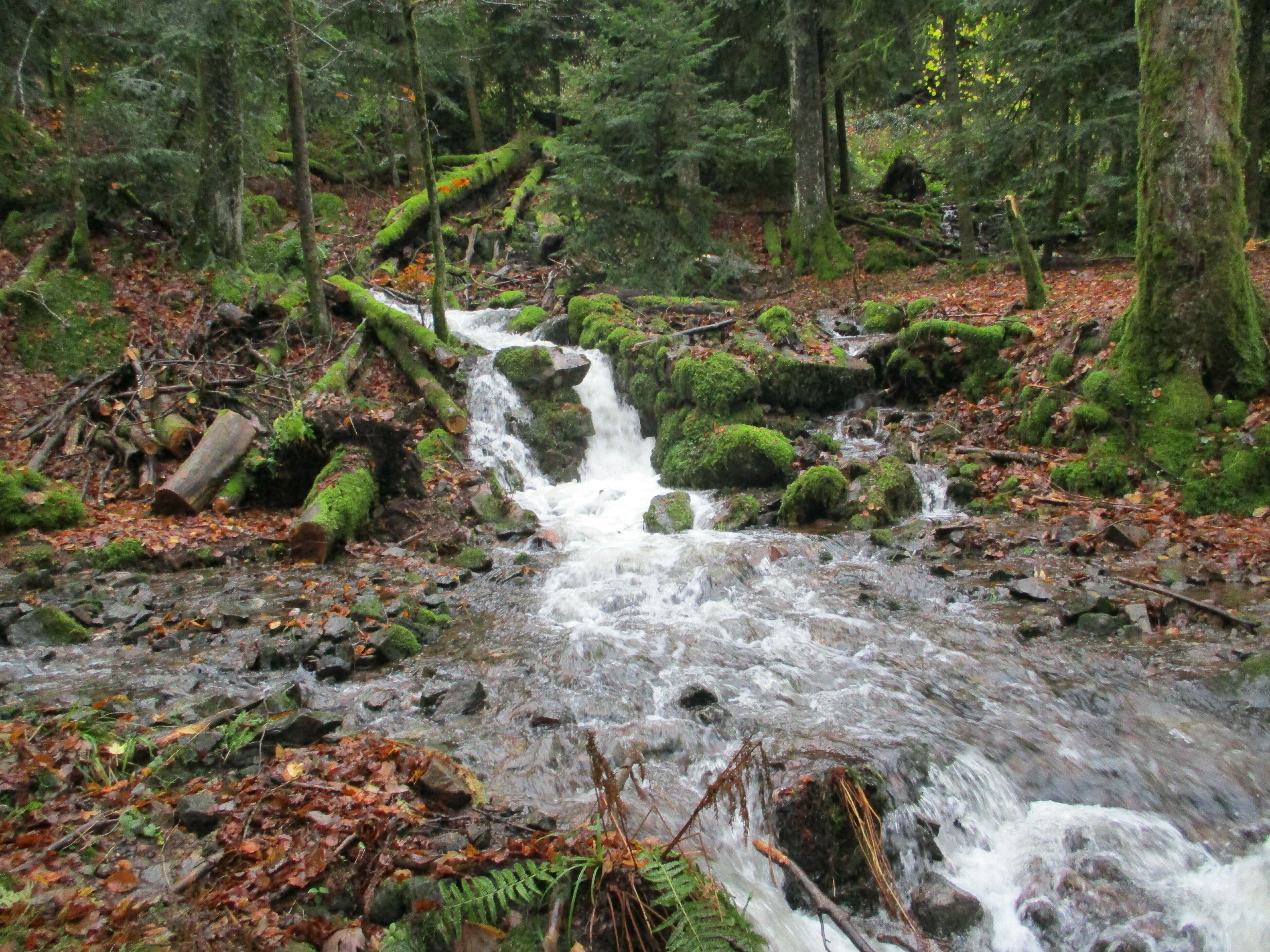 Visite guidée "Le sentier hydraulique d