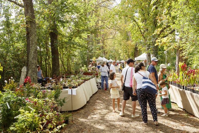 Les Botaniques de Chaumont-sur-Loire Du 21 au 22 sept 2024