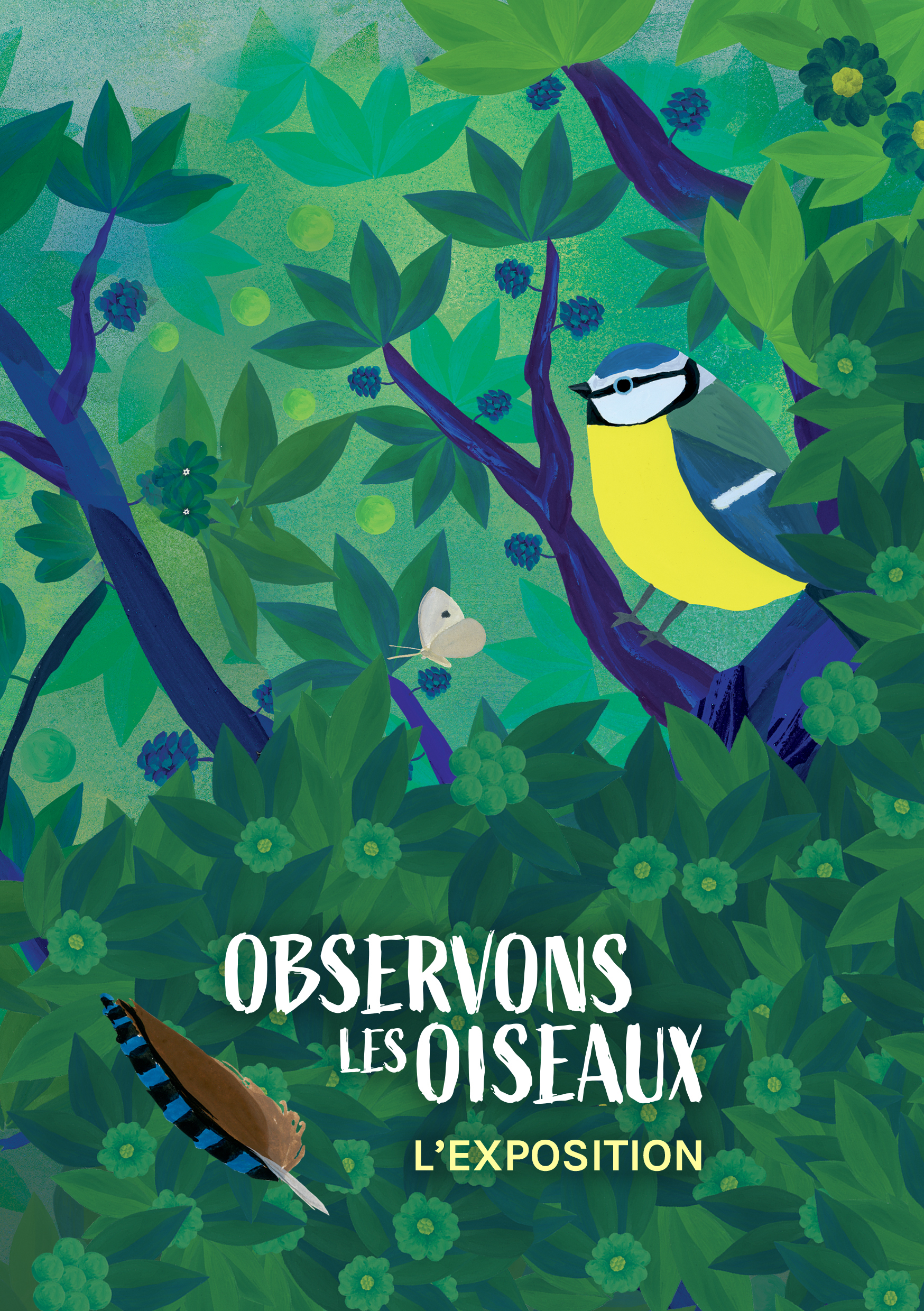 Exposition : observons les oiseaux