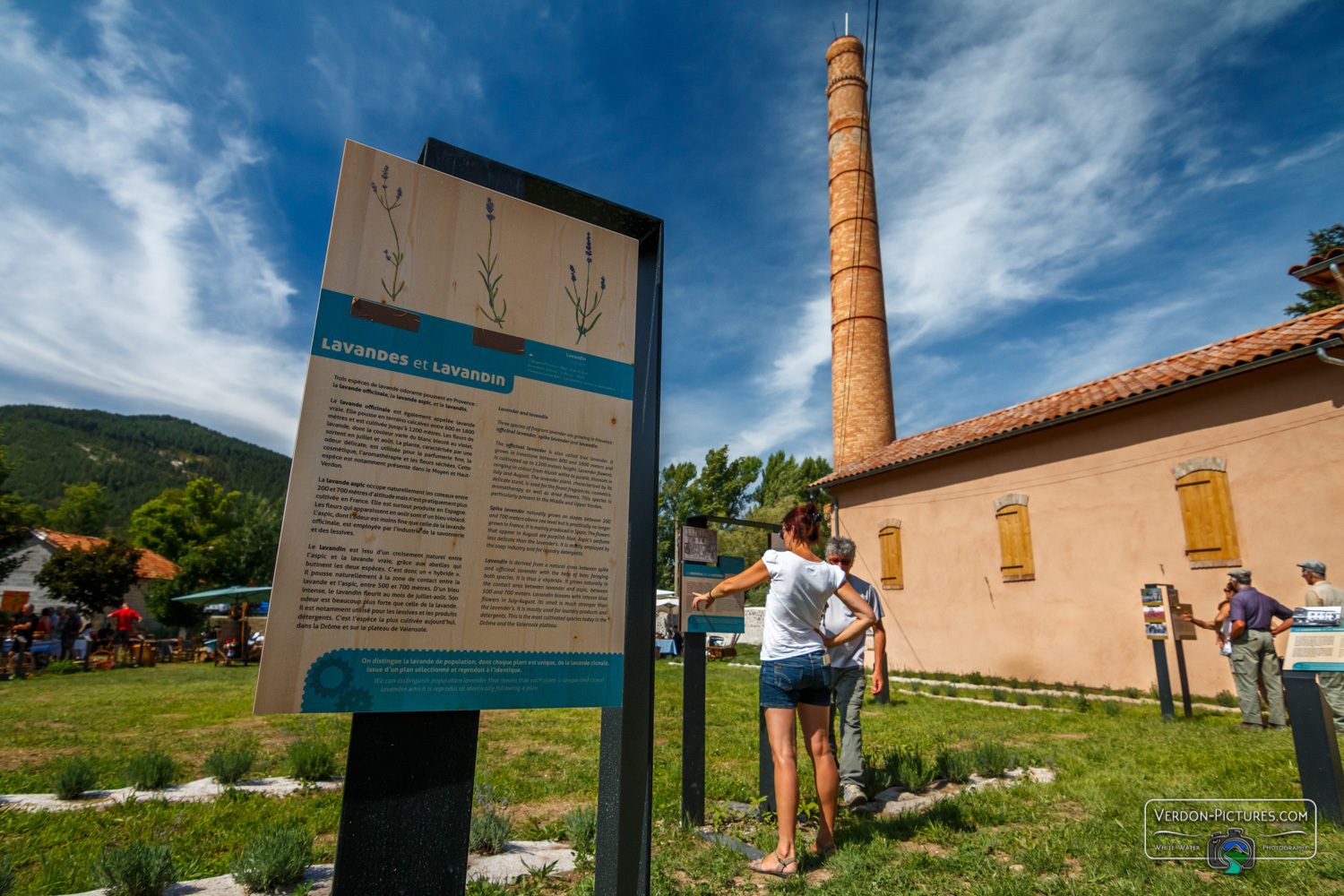 Découverte des plantes aromatiques et médicinales au musée de la Distillerie