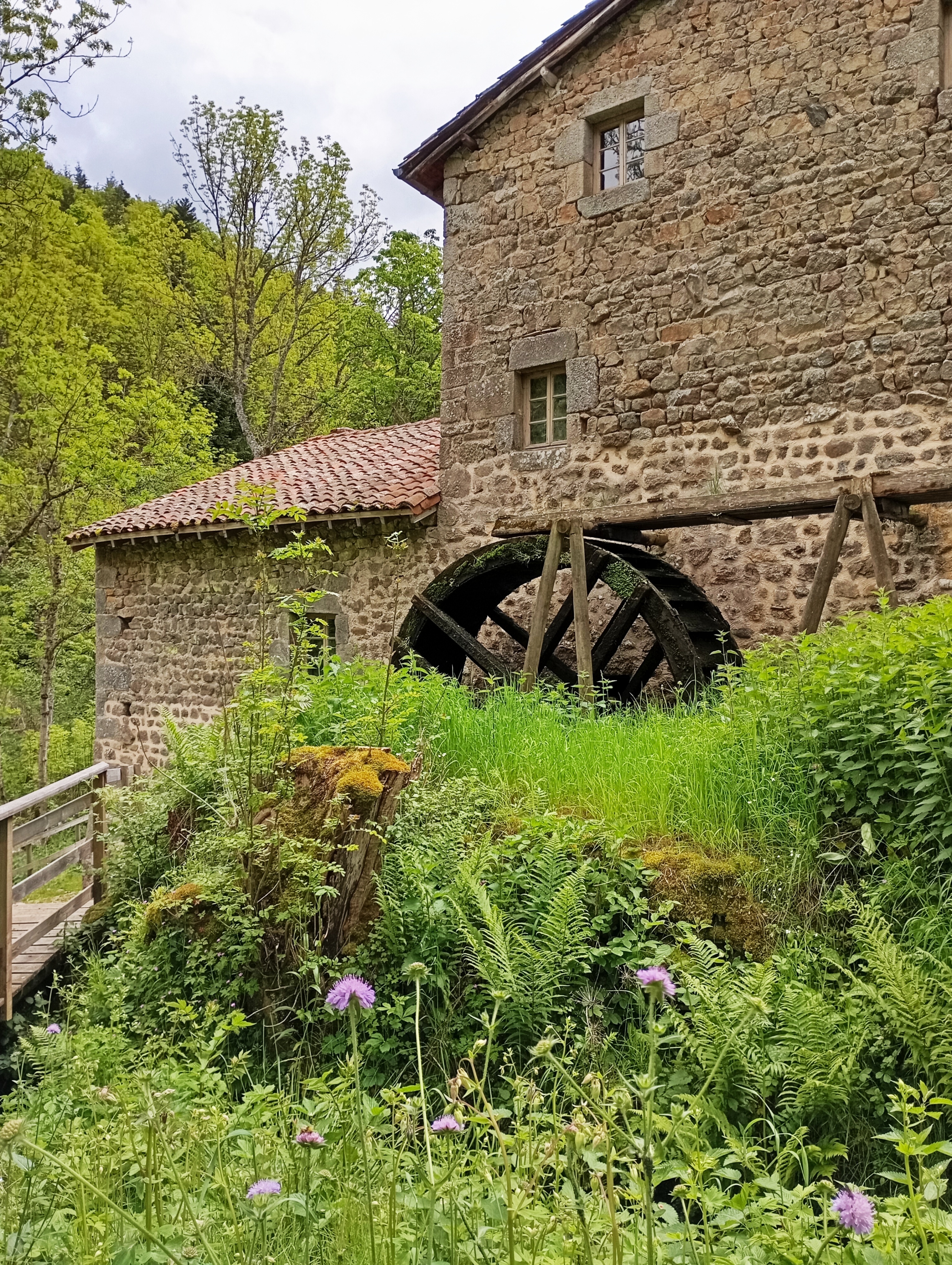 Visite guidée du moulin