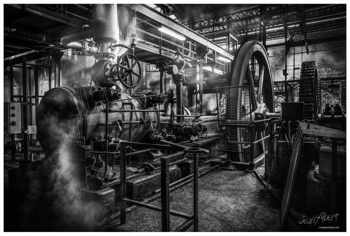 Visite guidée immersive de la distillerie