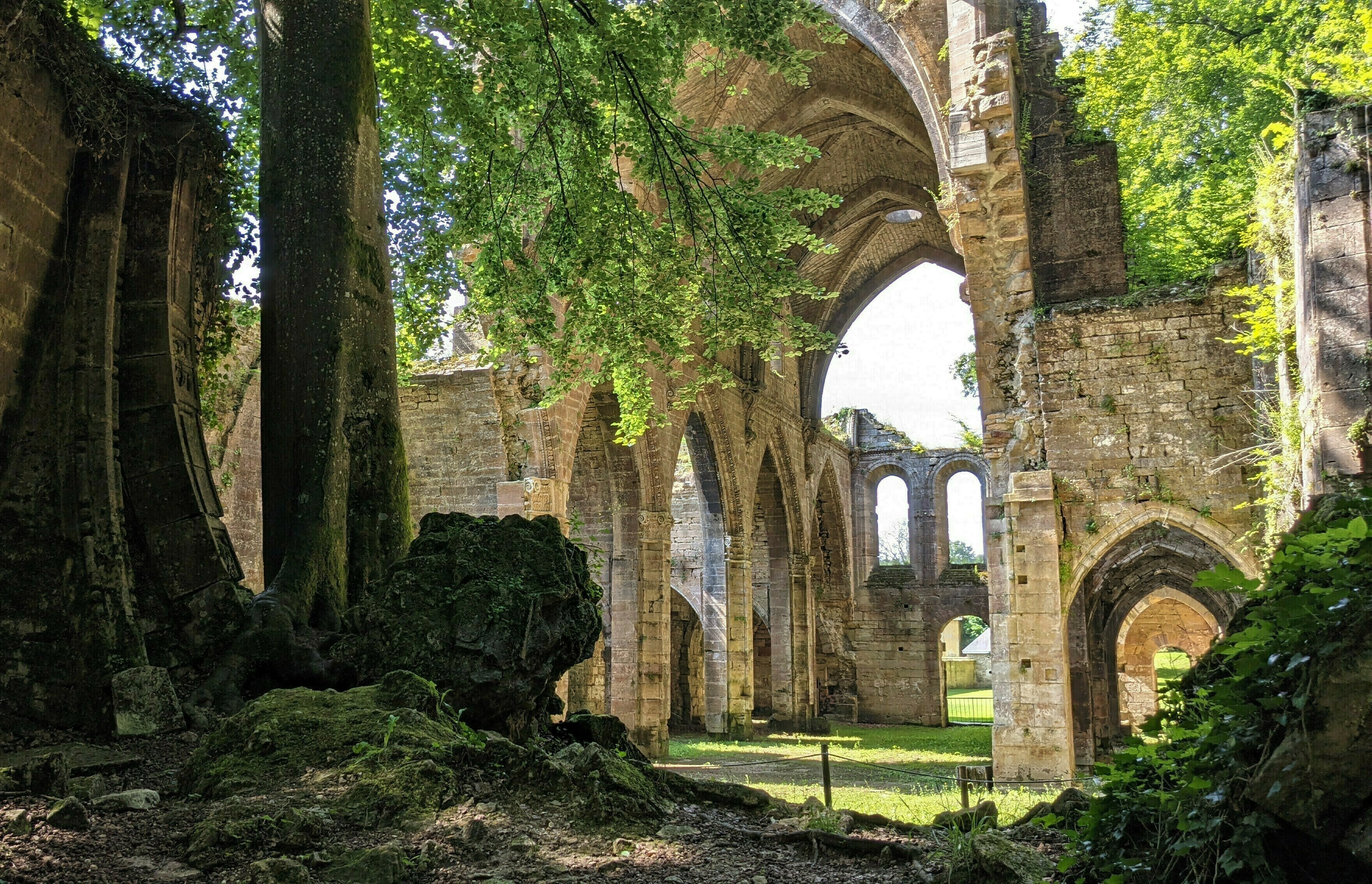 Découvrez une ancienne abbaye cistercienne, entre nature et vestiges, lors d