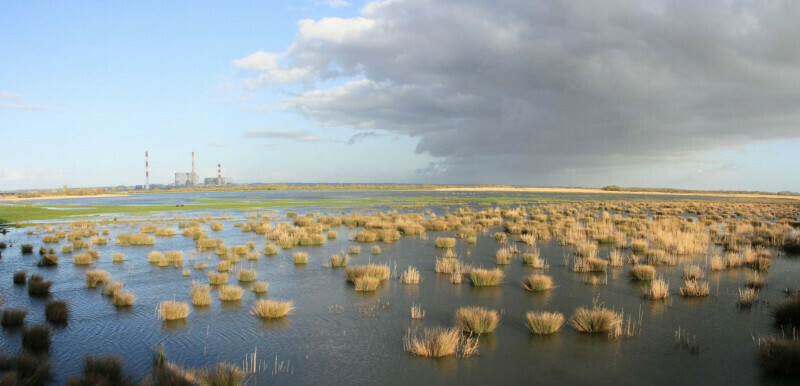 JEP : DECOUVERTE DES ANCIENNES ILES DE LOIRE Le 21 sept 2024