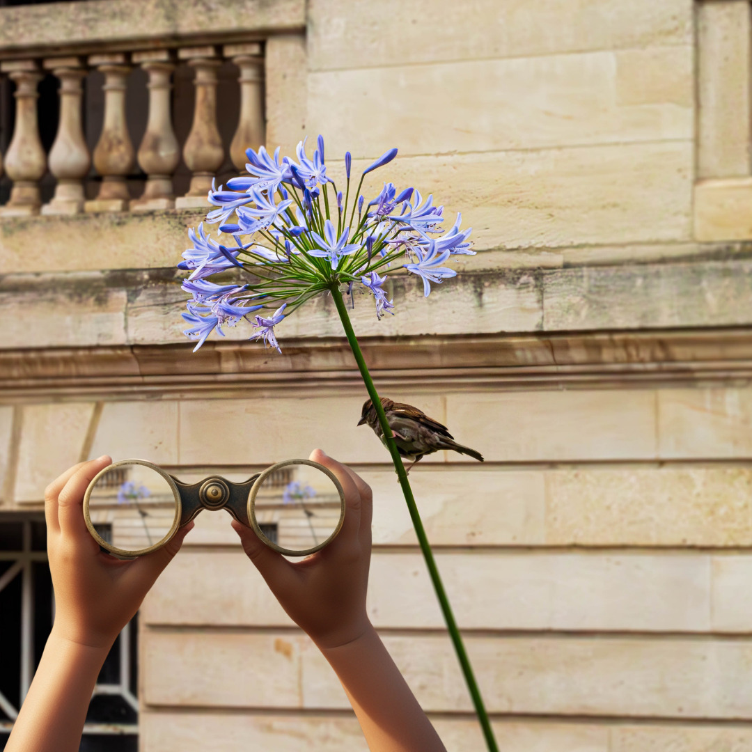 Balade urbaine : « Plume, becs et griffes - les animaux... Le 22 sept 2024