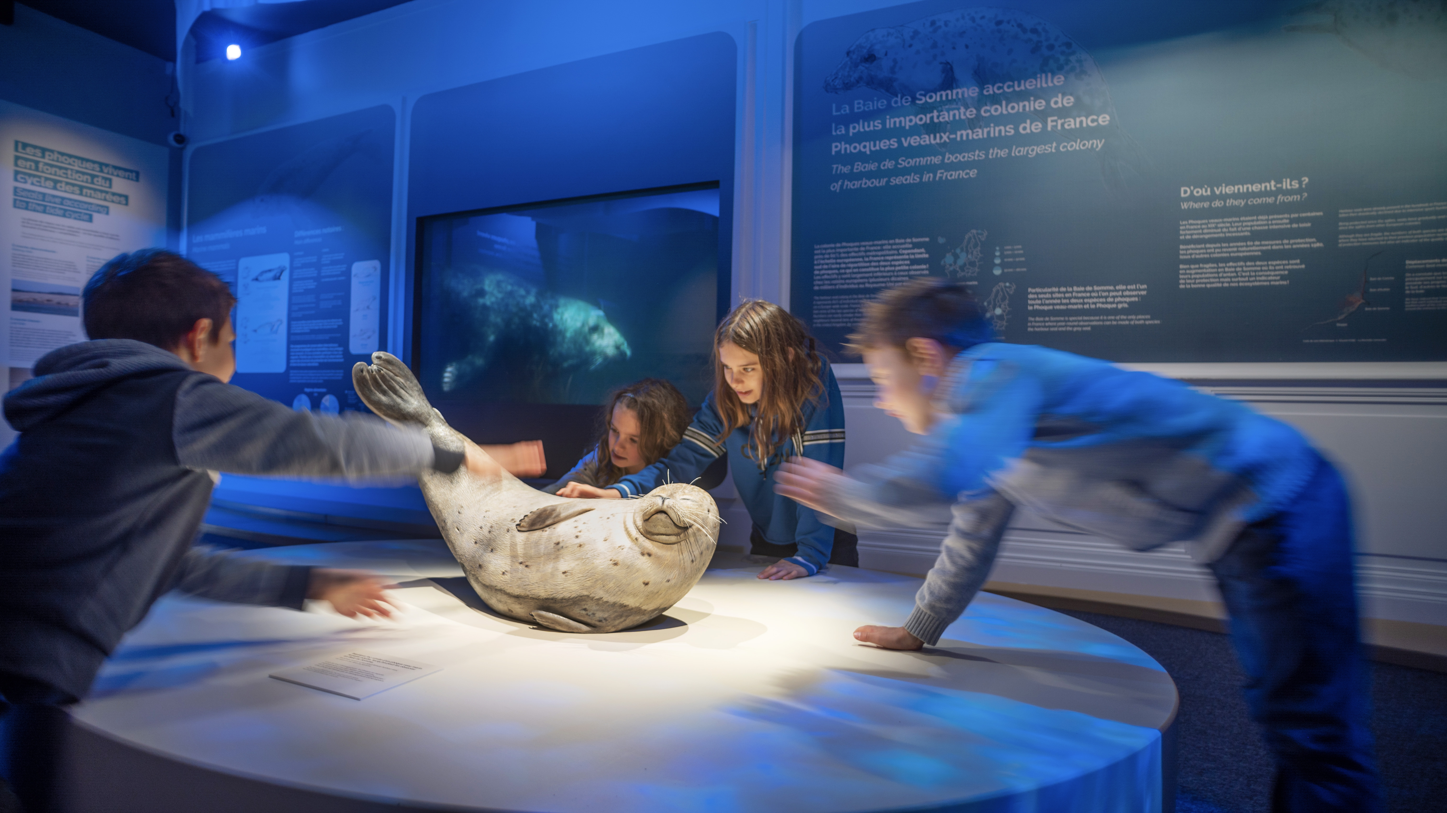 Visite guidée de la Maison de la Baie de Somme Du 21 au 22 sept 2024