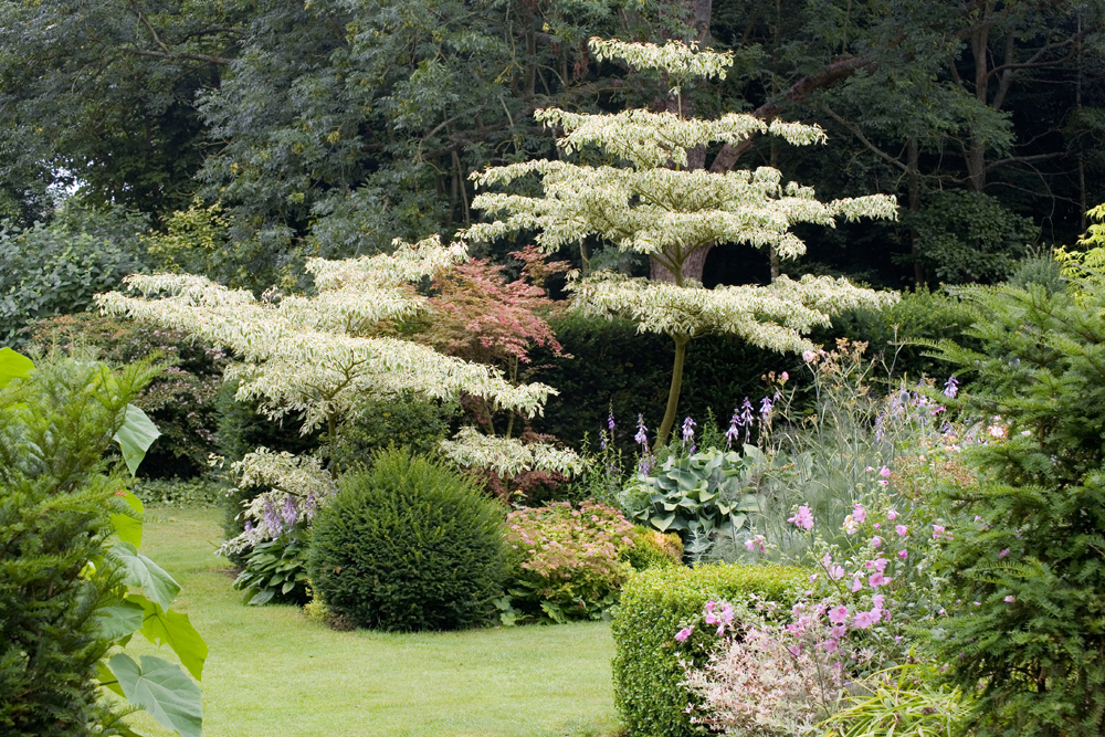 Visite libre des jardins du Pays d