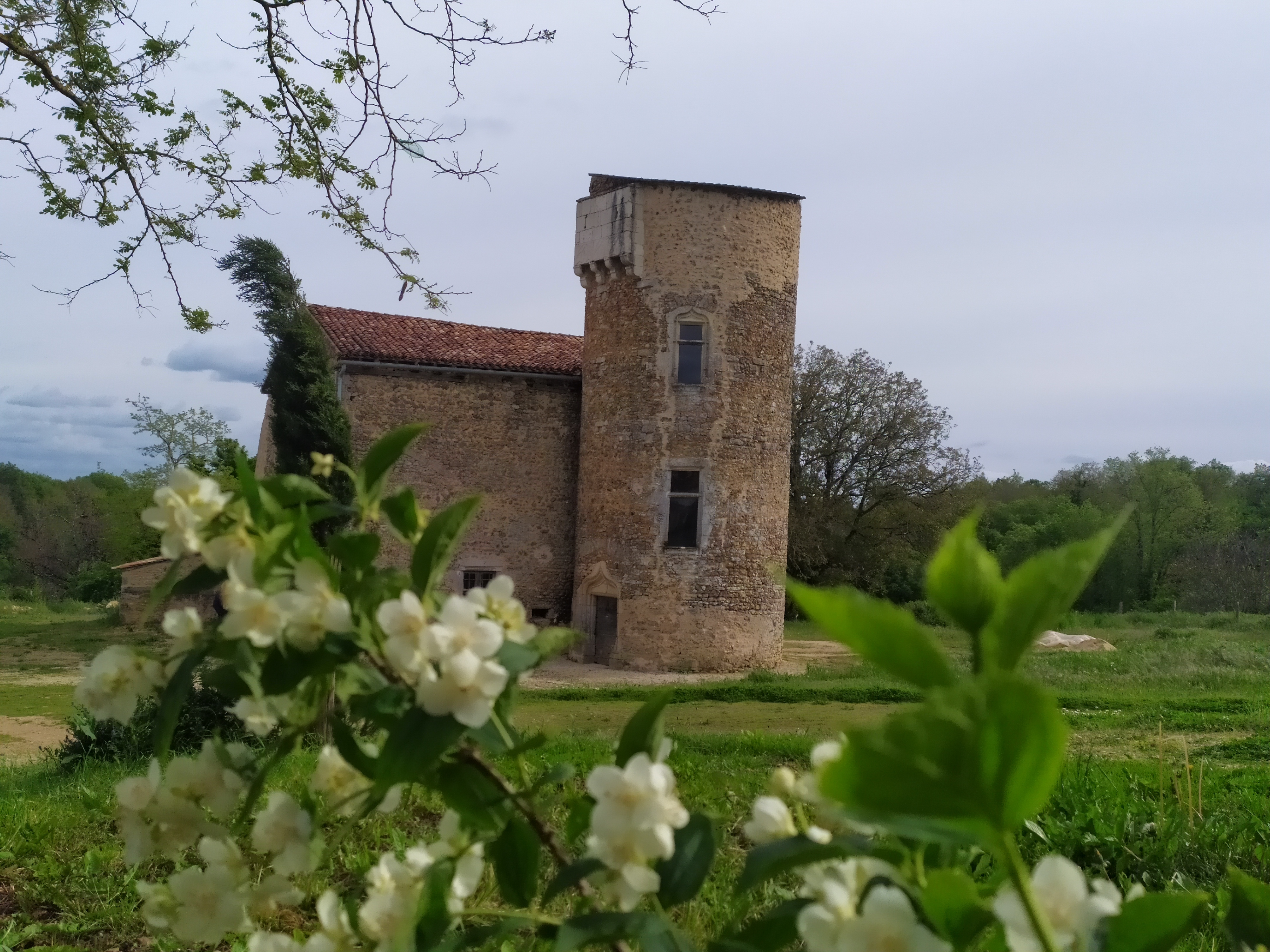 Visite guidée du château et animation compagnie... Le 22 sept 2024