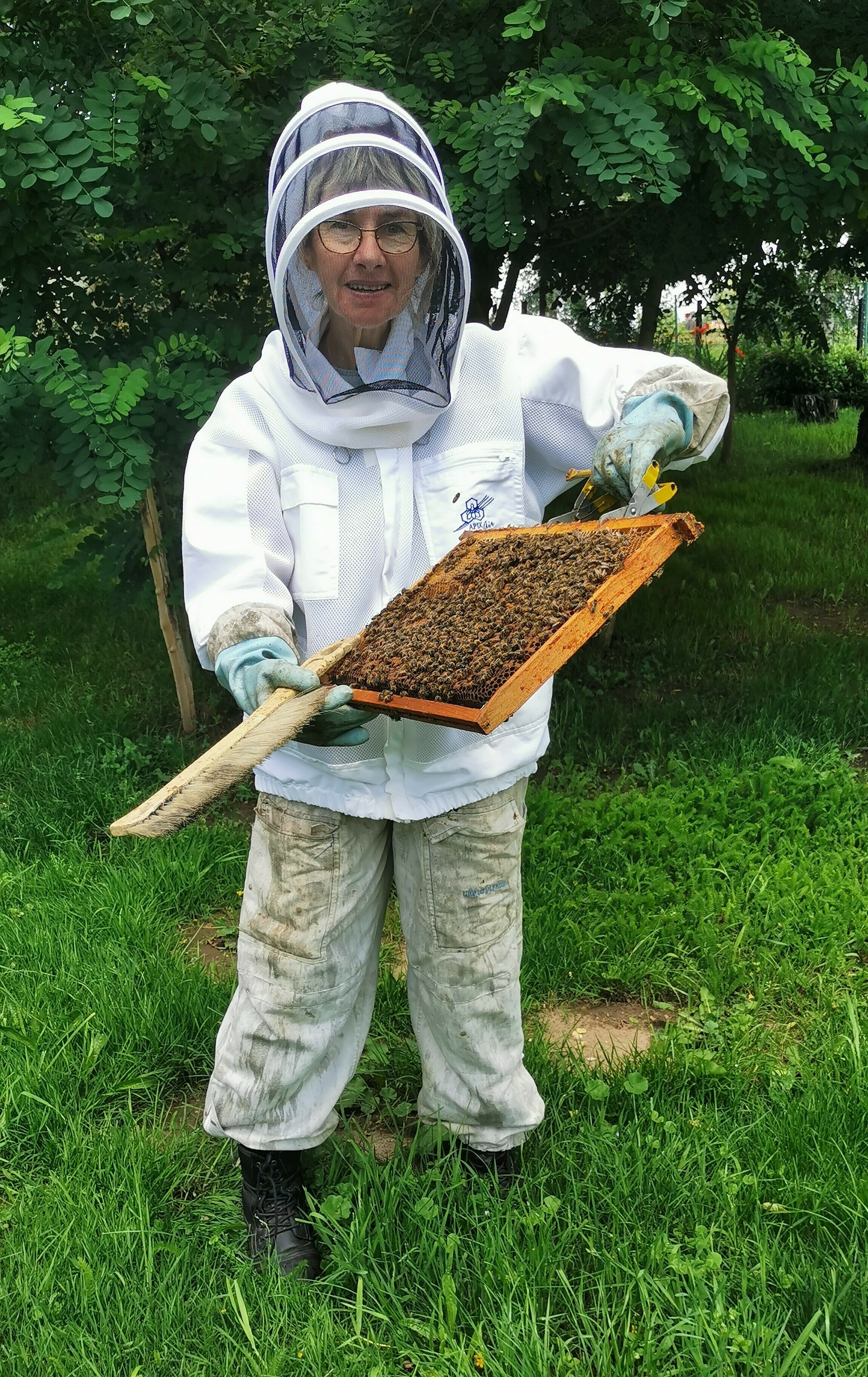 Apiculture au musée