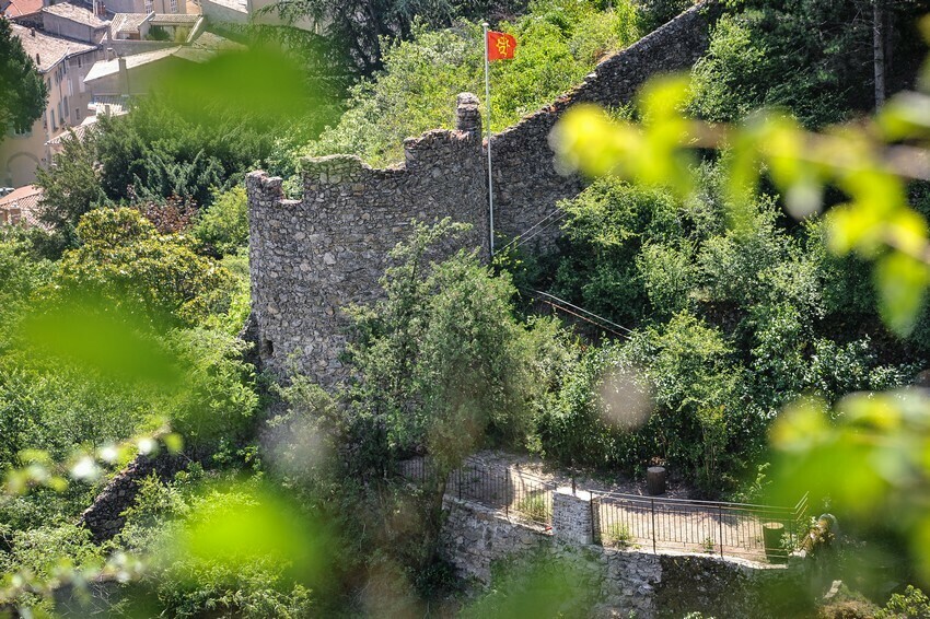 Visite commentée au Jardin d