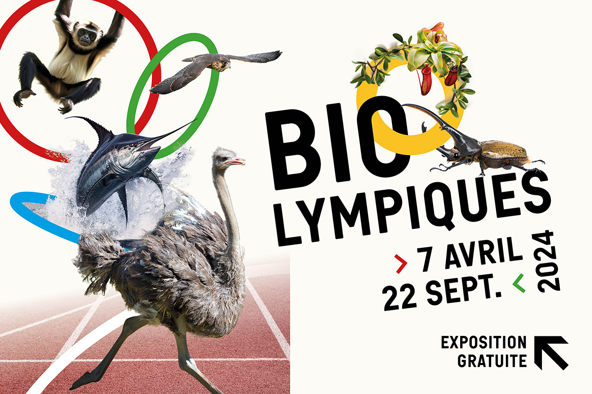 Exposition « BIOlympiques » Du 21 au 22 sept 2024