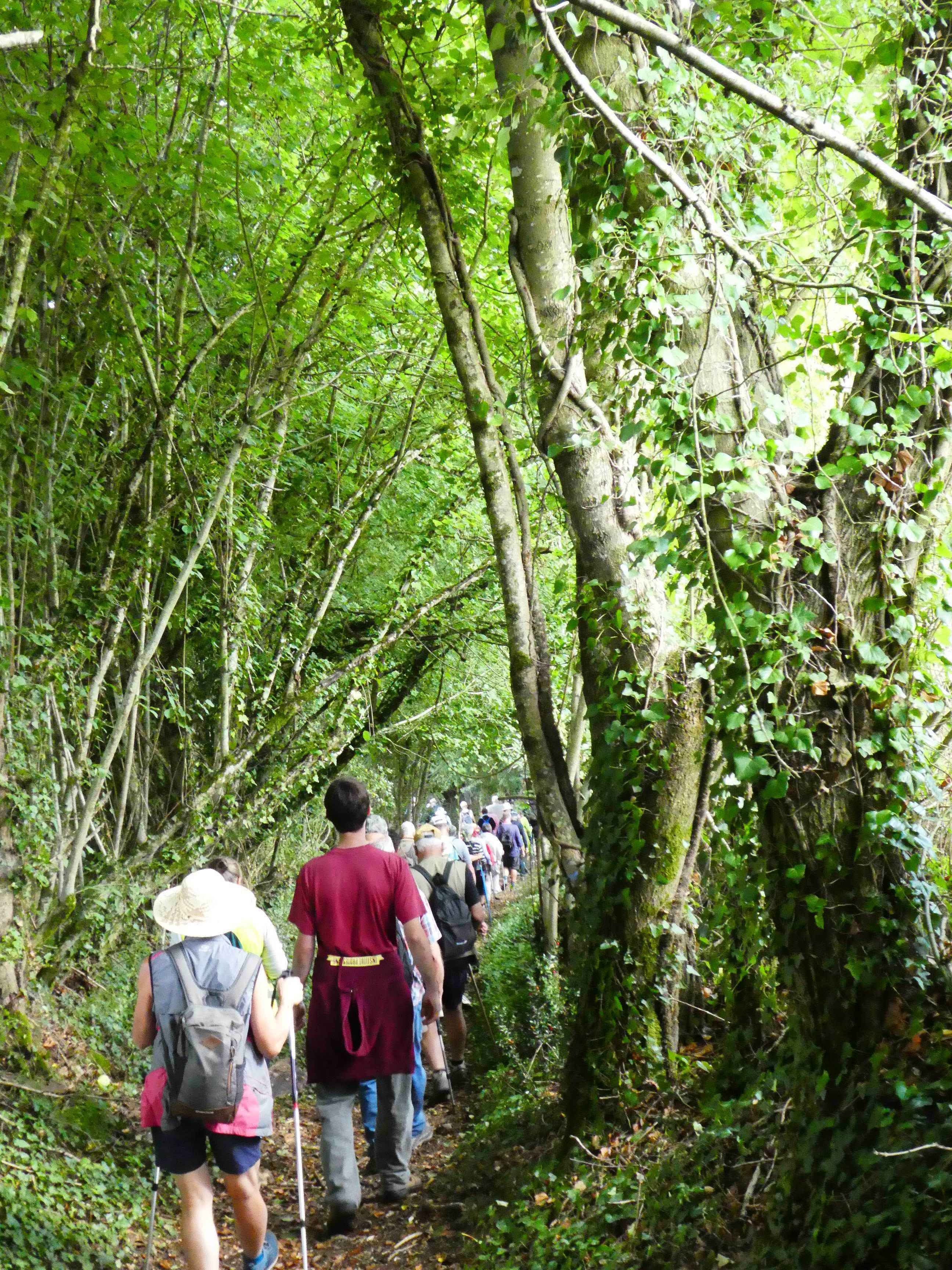 Balade historique sur le sentier huguenot Le 22 sept 2024