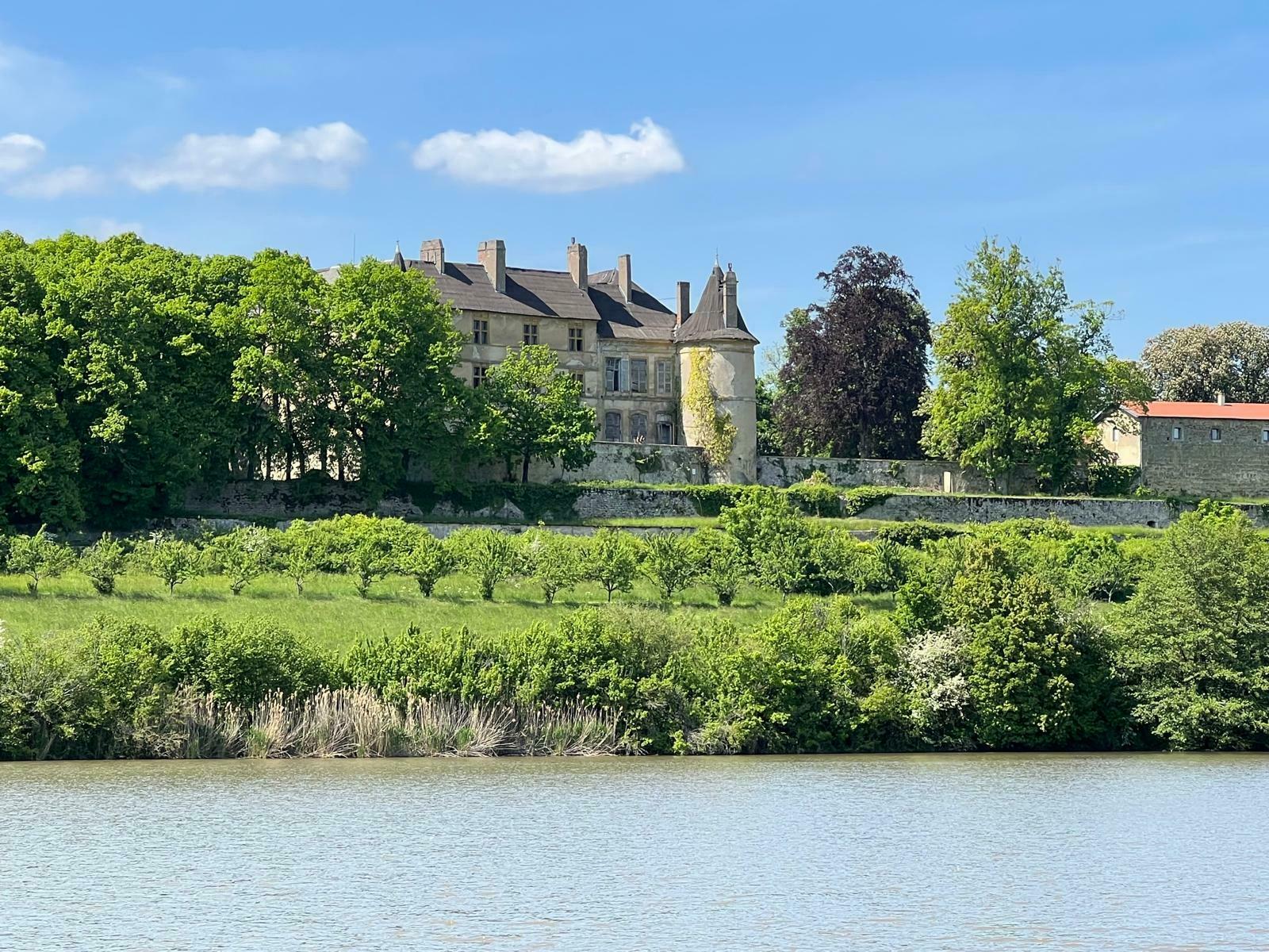 Participez à des ateliers sportifs dans le parc d