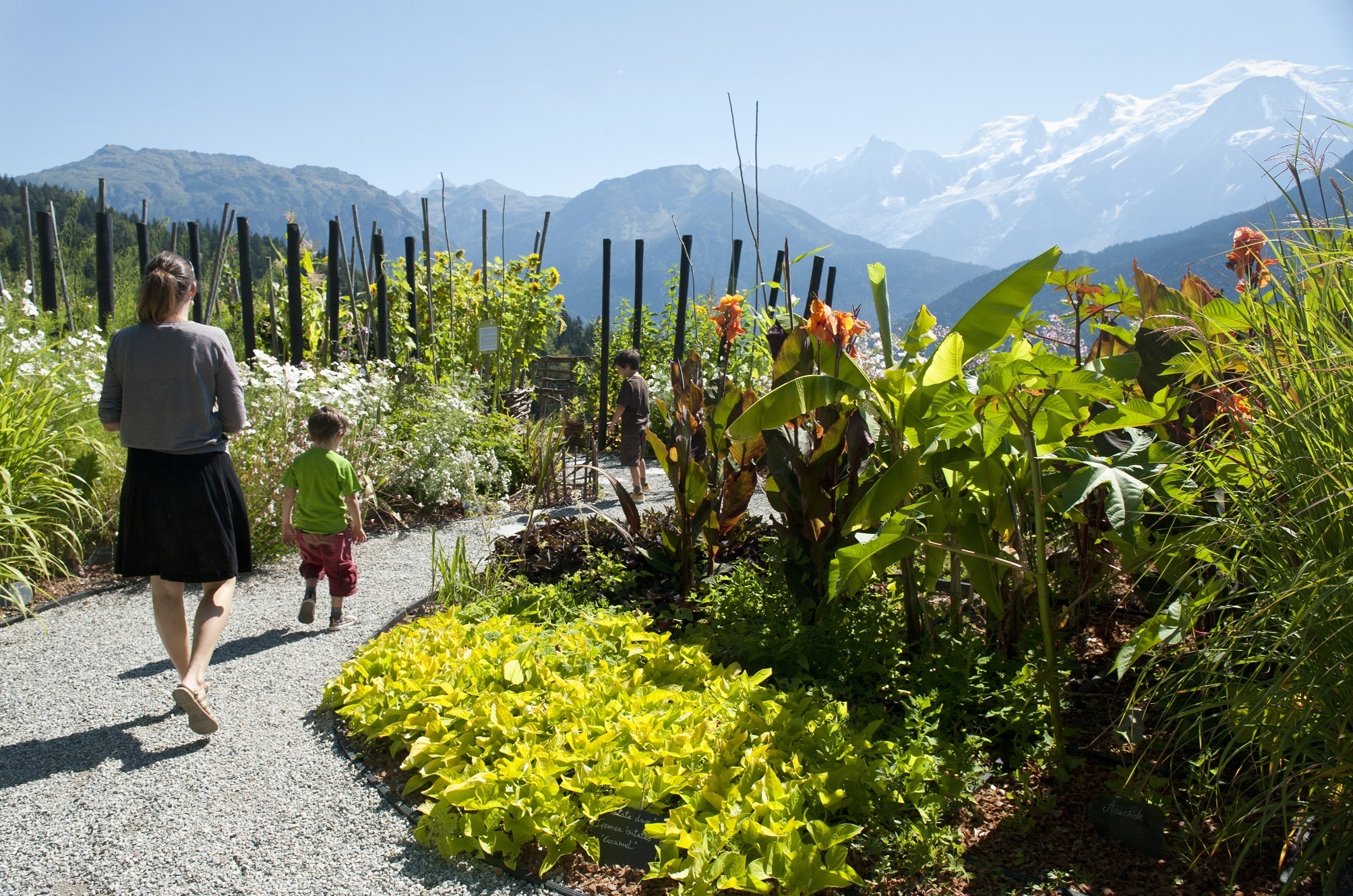 Visite guidée du jardin des Cimes