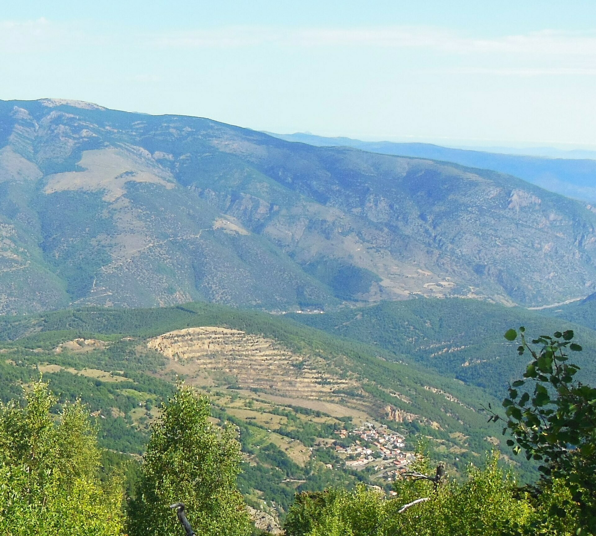 Balade-patrimoine : « Le peuplement de pins de Salzmann du Conflent »