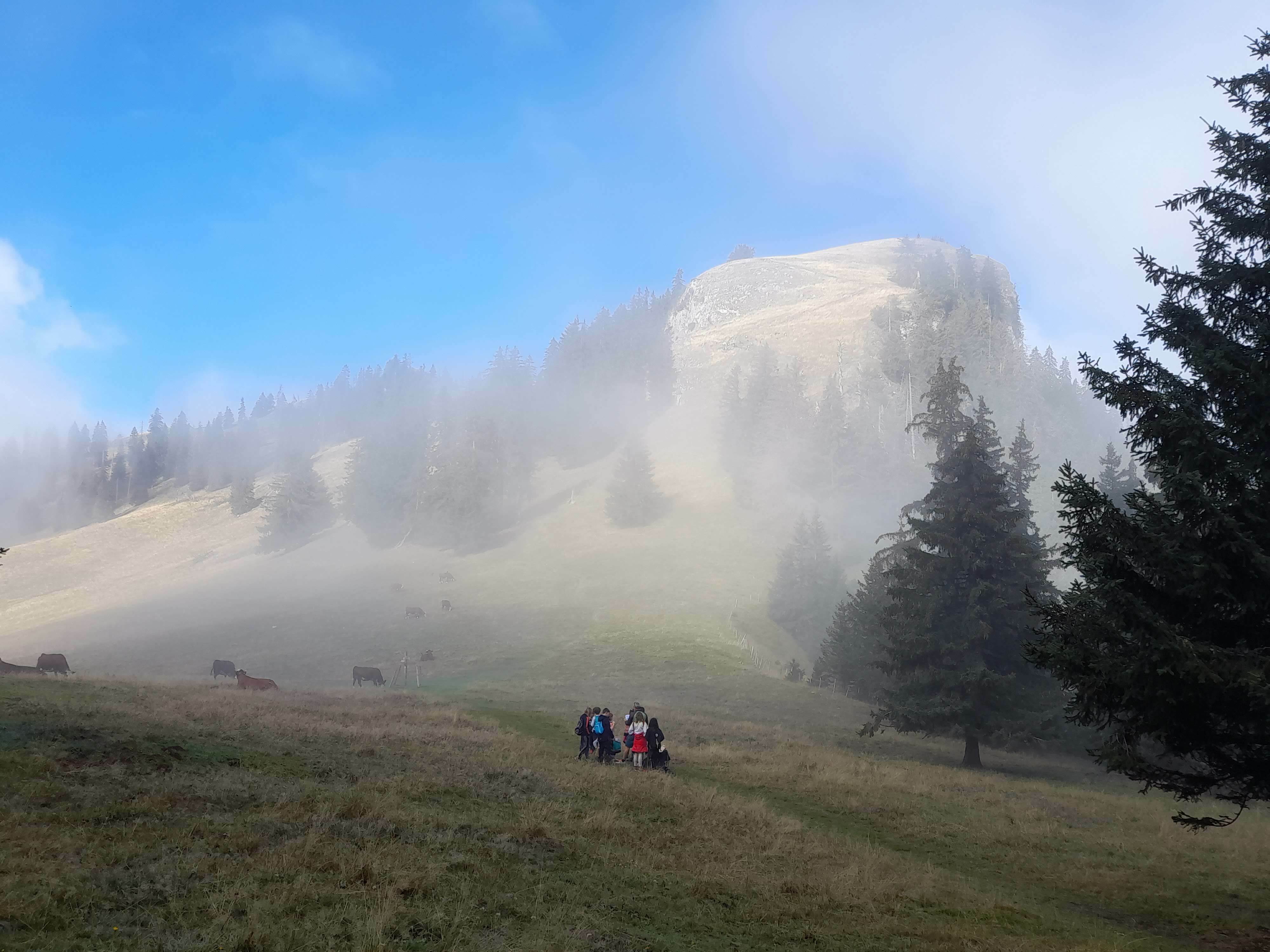 La montée des alpages