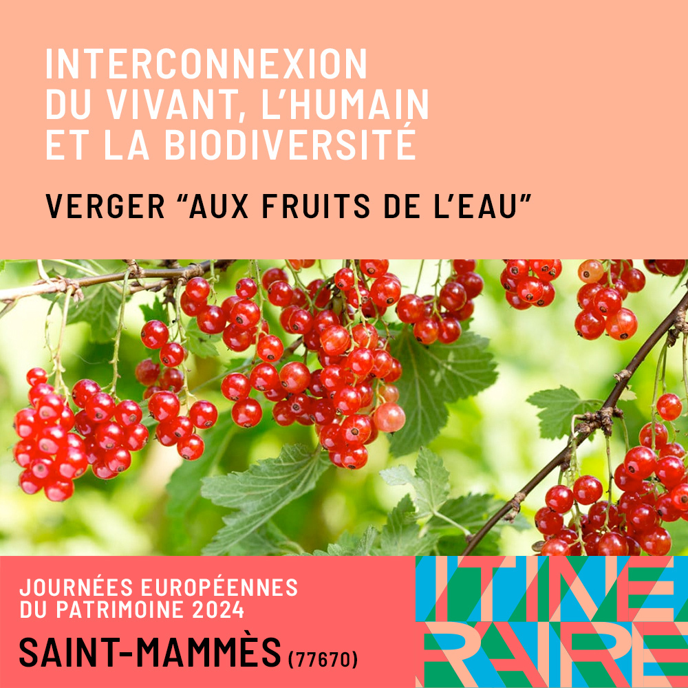 Interconnexion du vivant, l