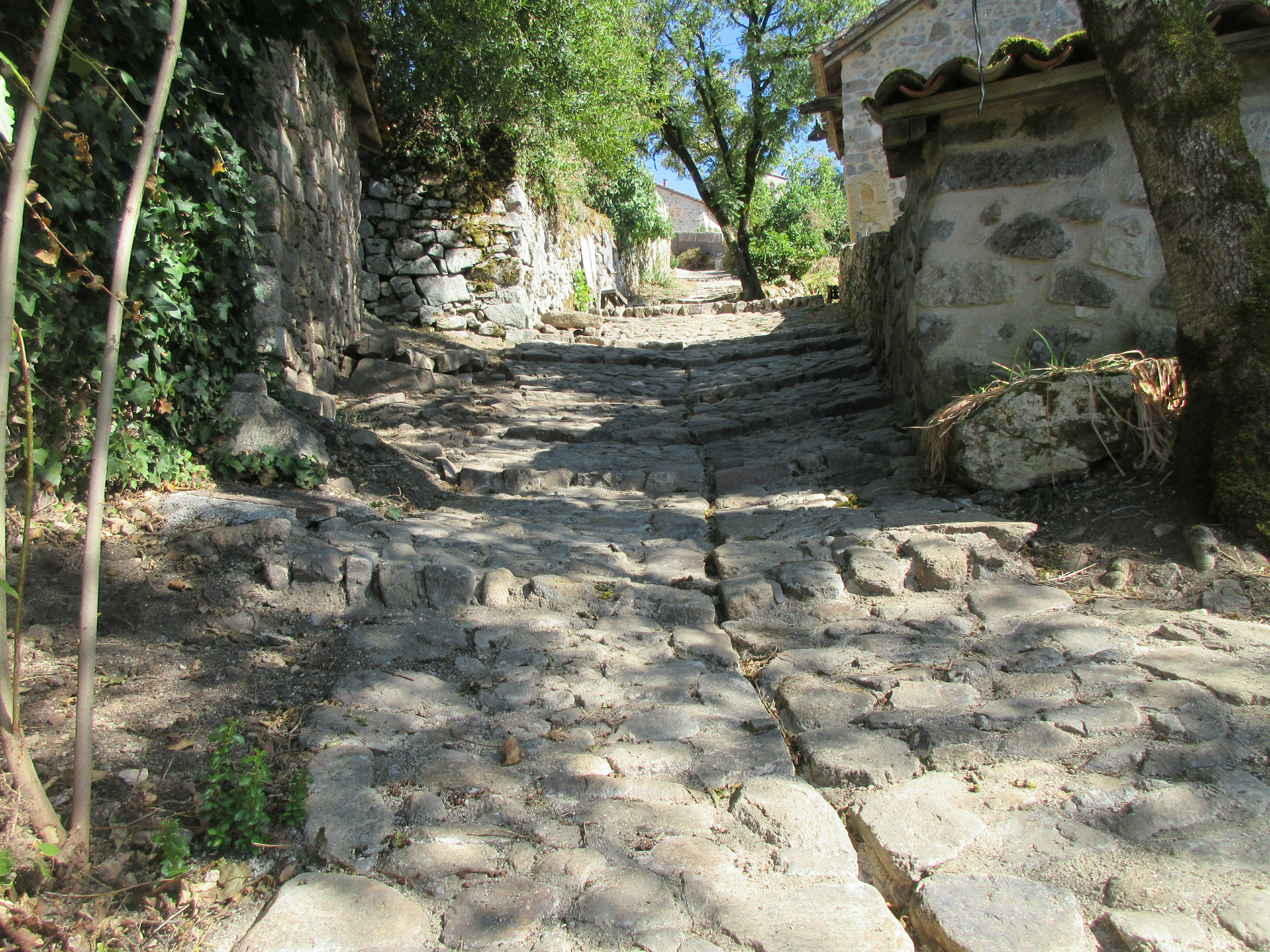 Promenade au cœur du site médiéval de Peyrusse le Roc