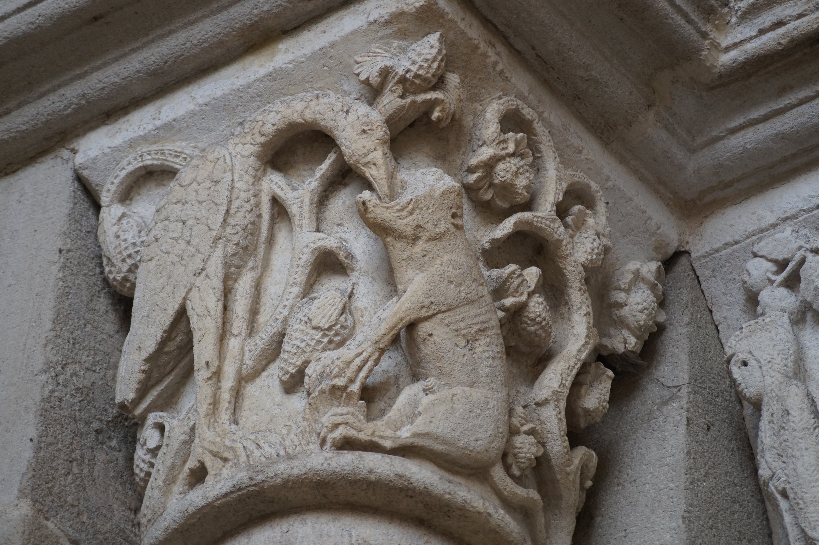 Le bestiaire de la cathédrale d