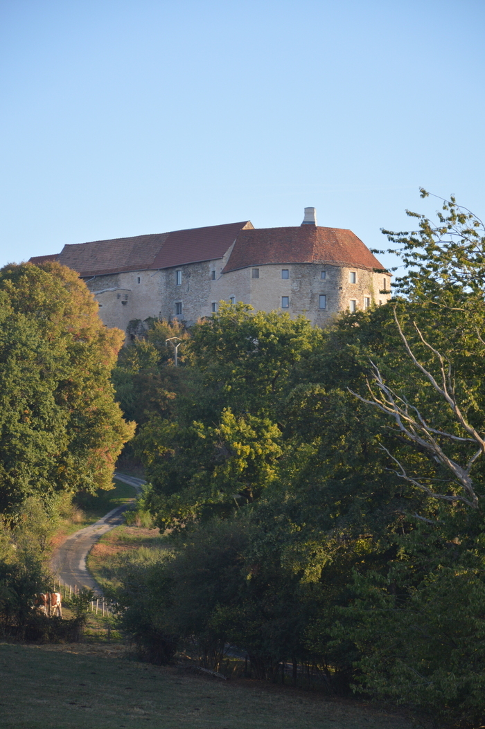 Visites et animations médiévales au château de Montby