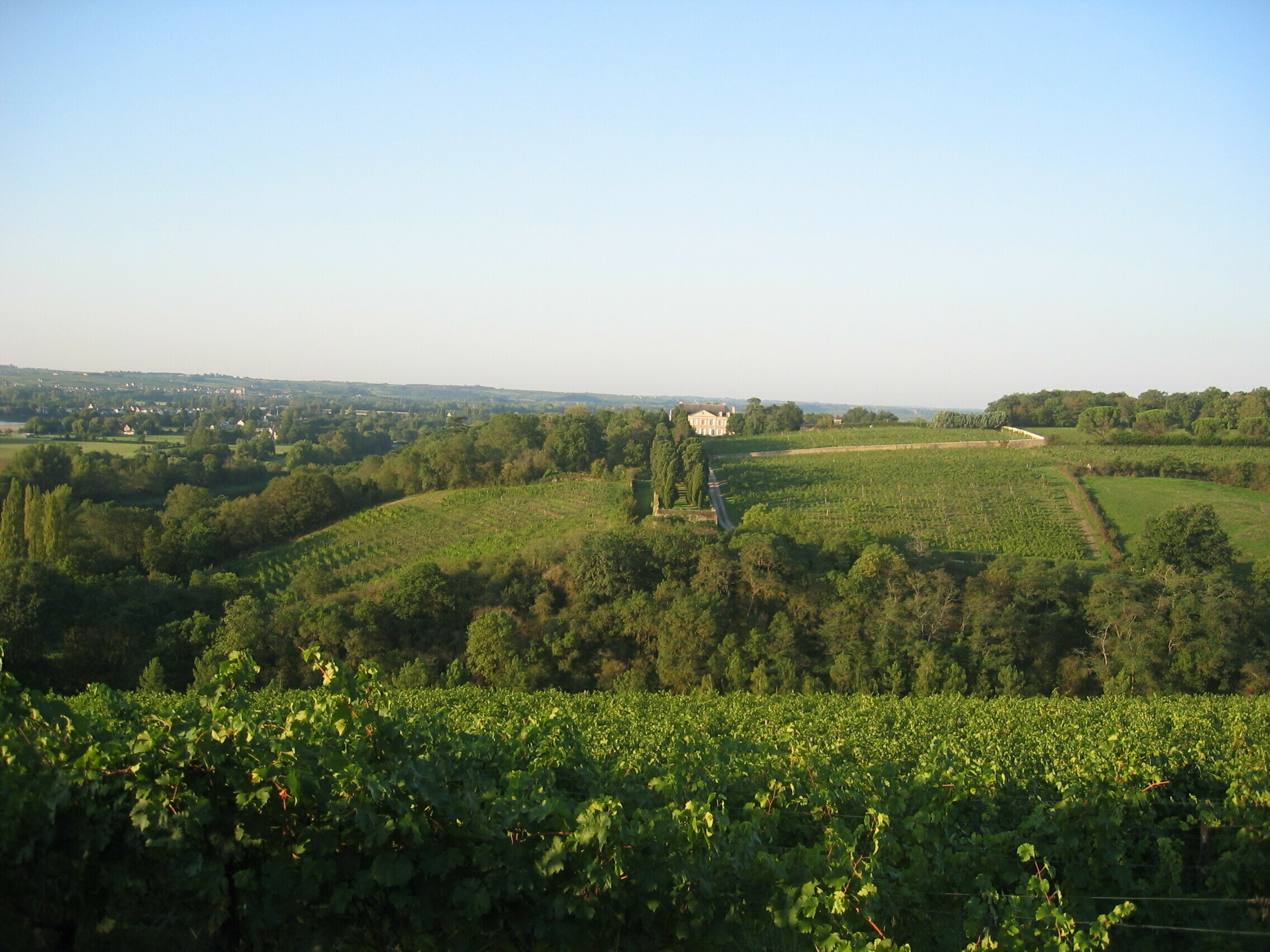 visite libre vignes et exterieurs