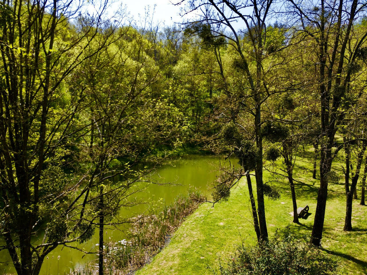 Visite guidée au Bois Noir : sortie nature et patrimoine Le 21 sept 2024