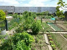 Visites des jardins familiaux de Versailles