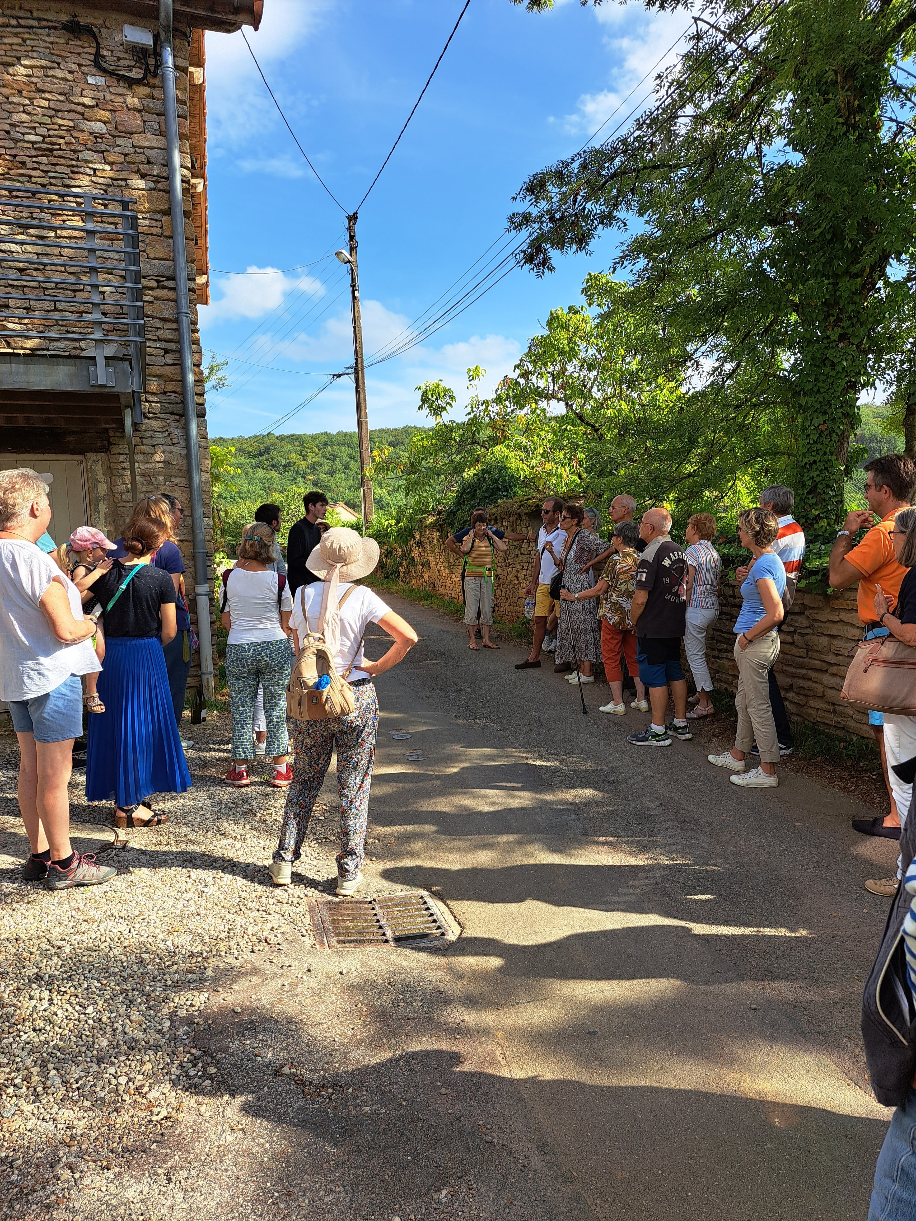 Visite guidée de Pernand-Vergelesses pendant les vendanges