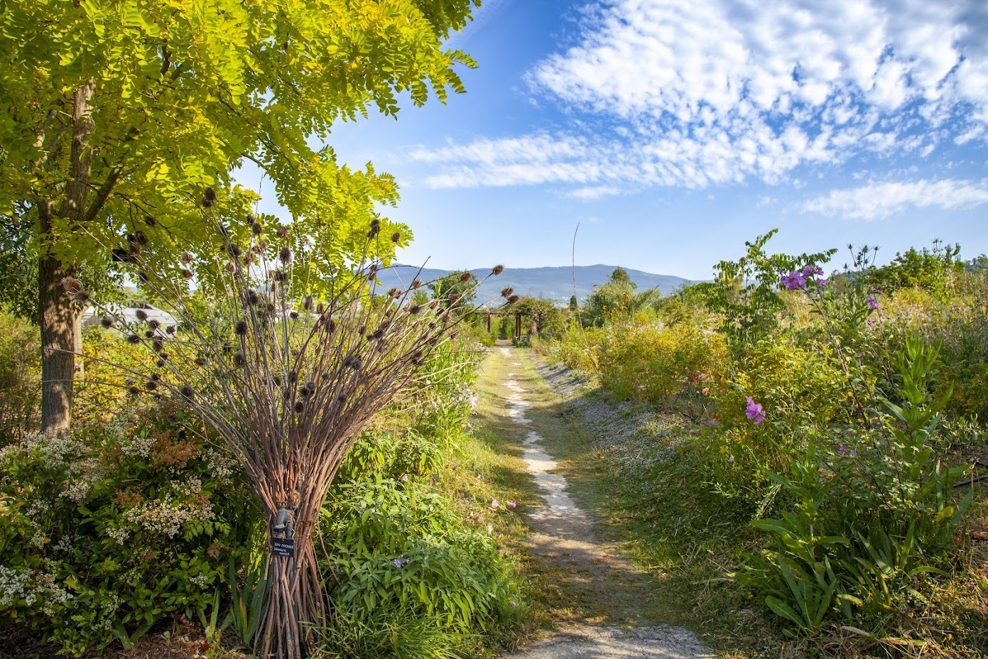 RENCONTRE DES CUEILLEUSES A LA PEPINIERE DES FLEURS D