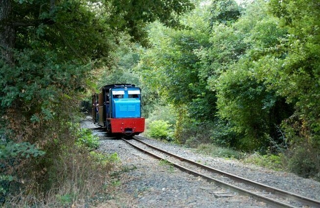 Venez faire une promenade en petit train