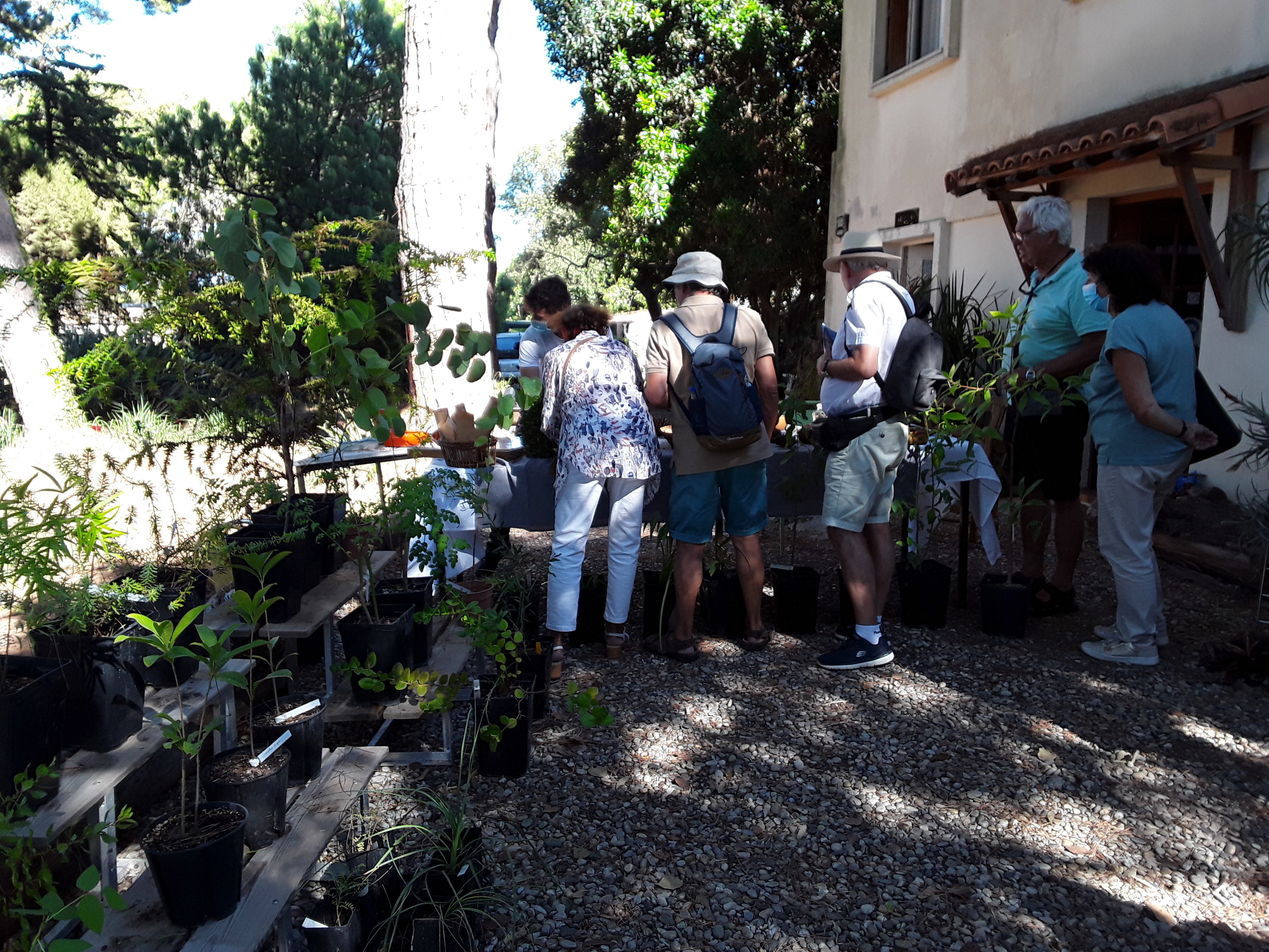 Conseils de culture et vente de plantes