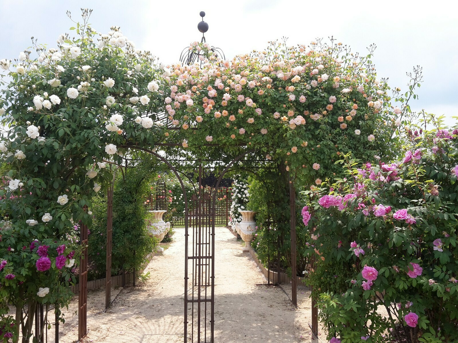 Terre de Rose Distillerie Du 21 au 22 sept 2024