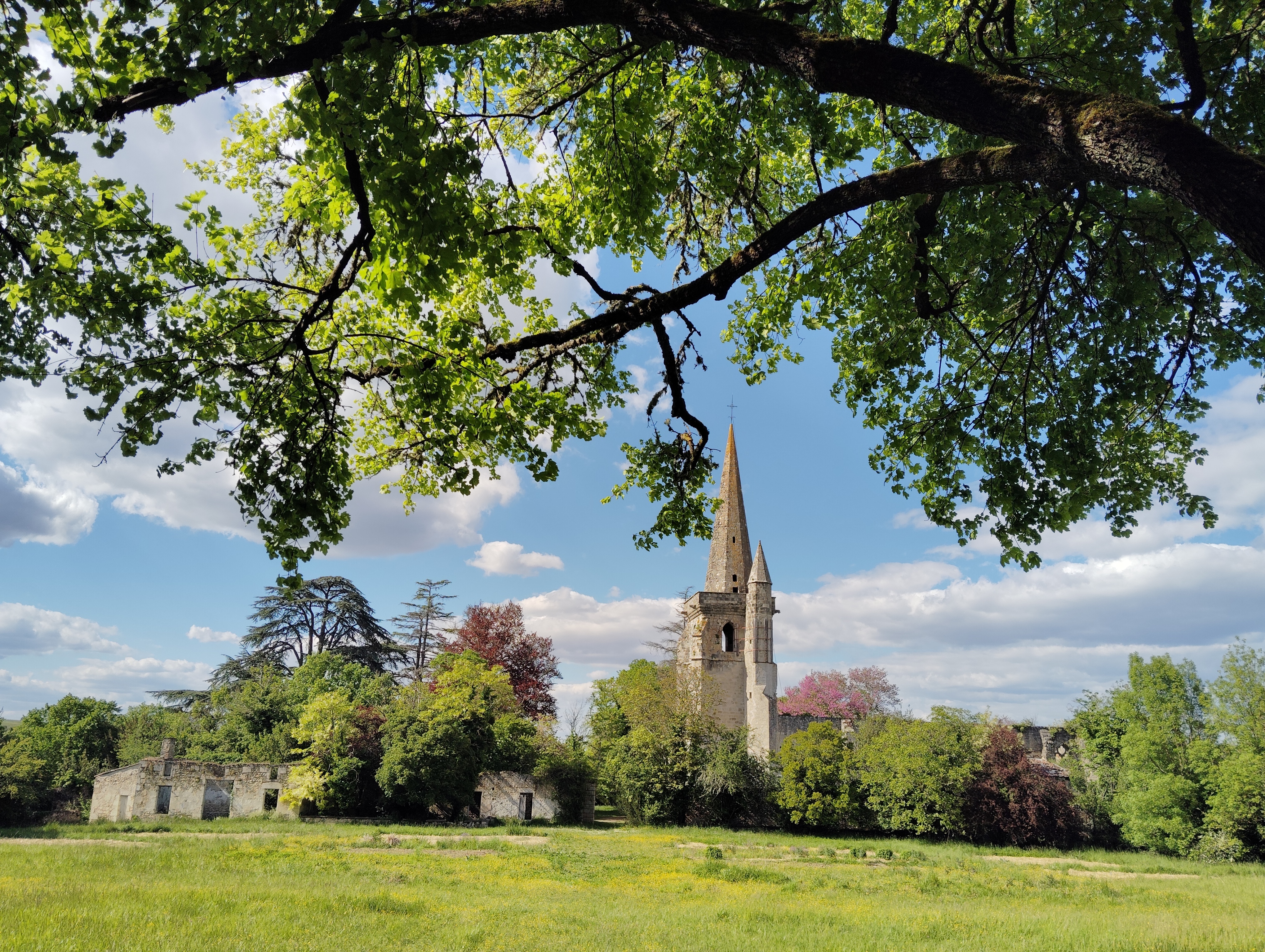 Visite libre du parc du château de Buzet