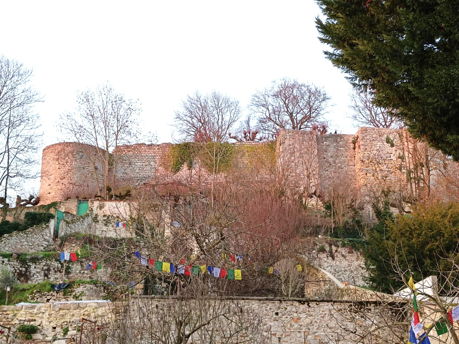 Visite du jardin Jacopin