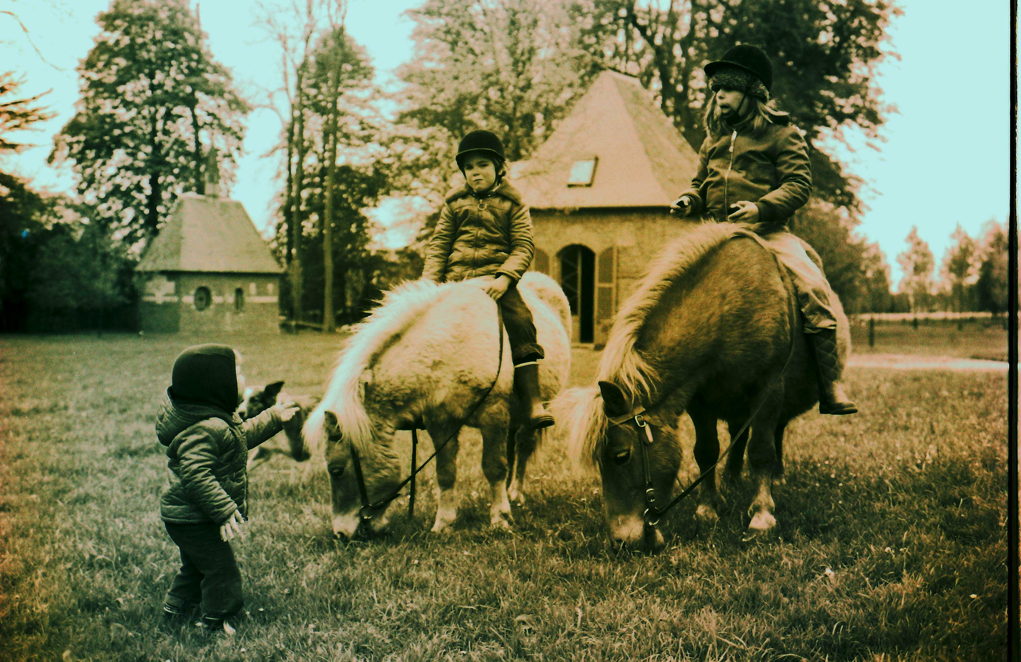 Animation jeune public : découverte du jardin à poney