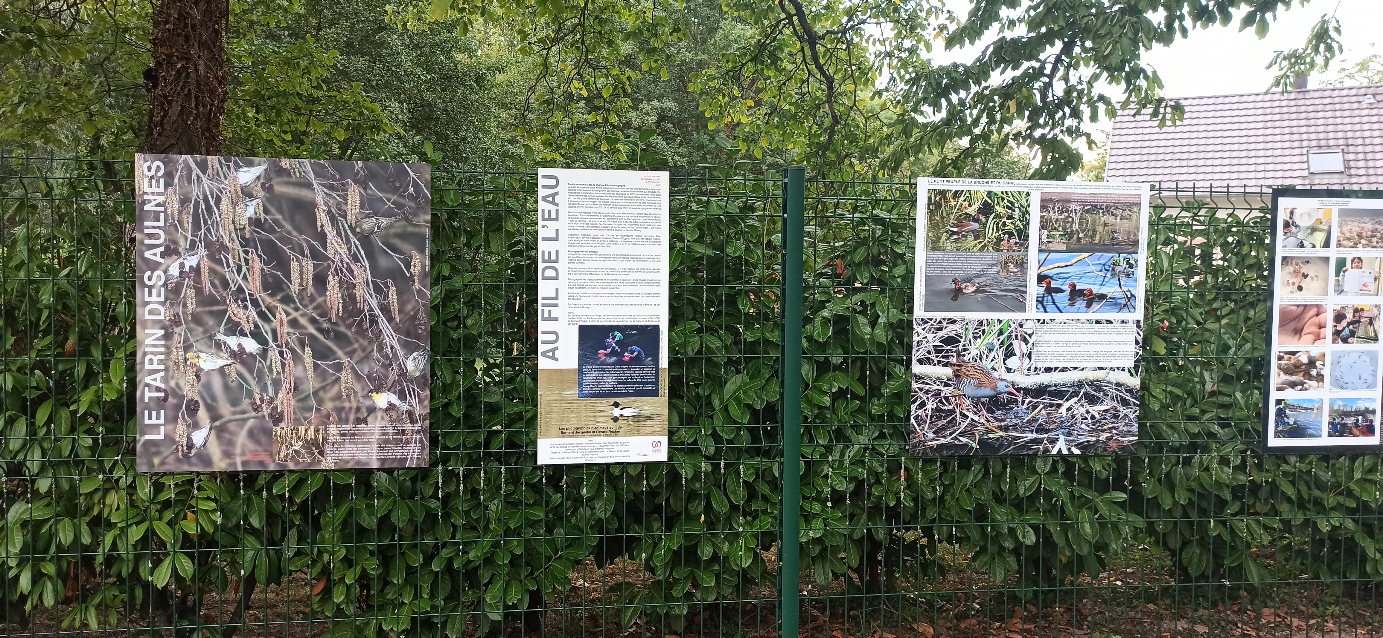 Exposition naturaliste et stand d