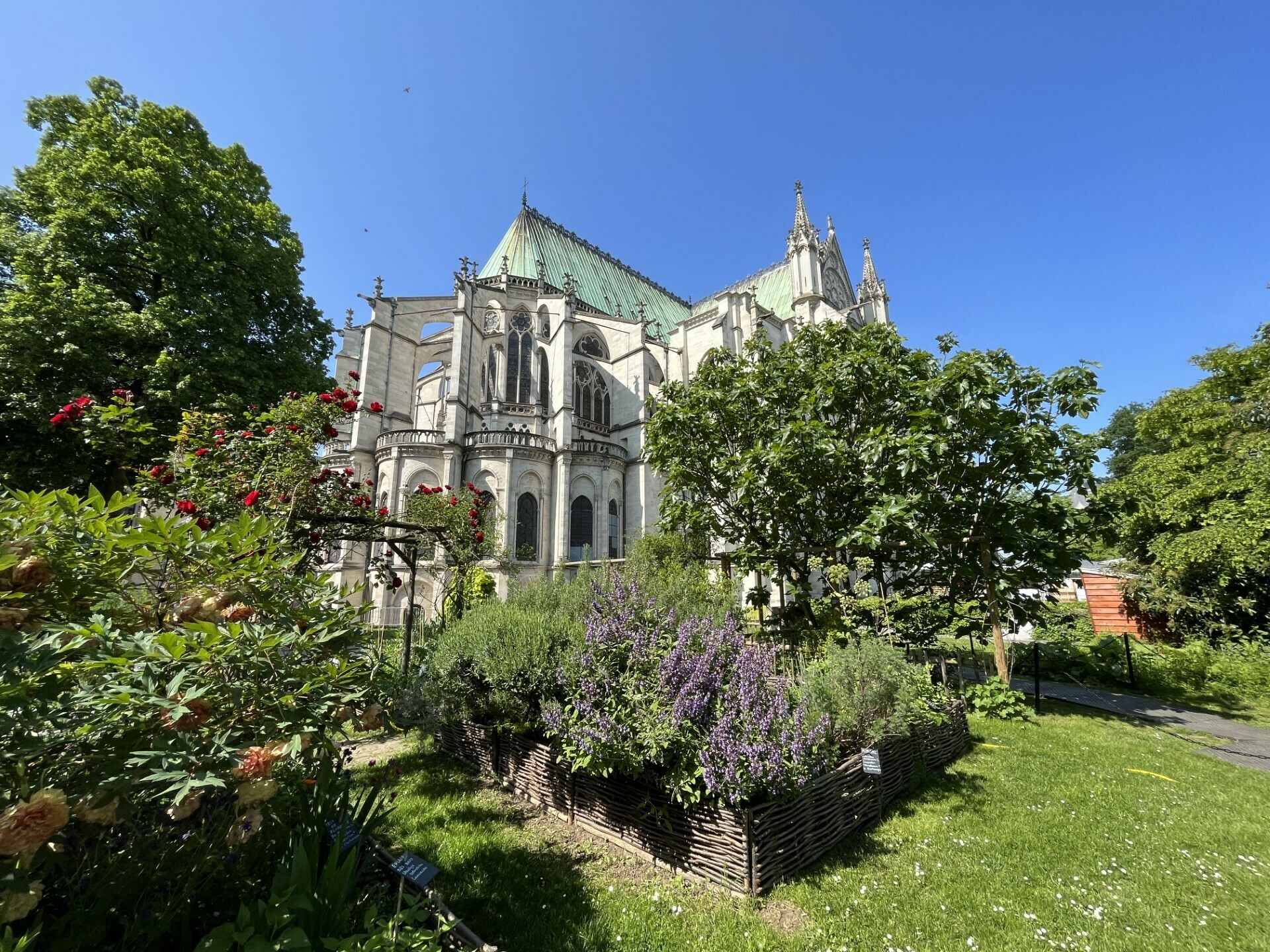 Découverte du jardin médiéval