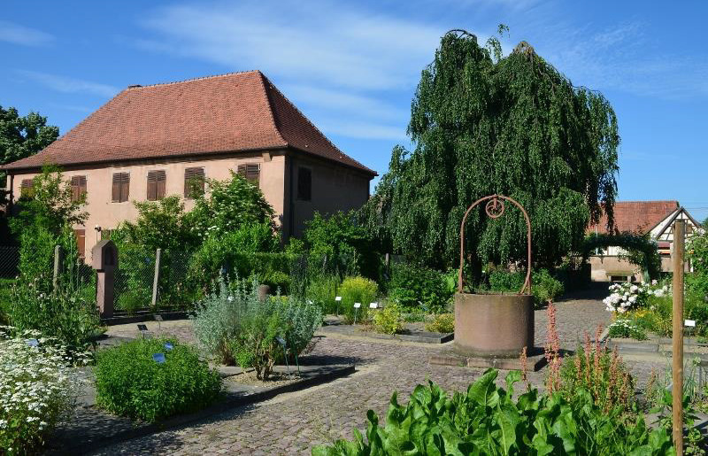 Visitez un jardin monastique Du 21 au 22 sept 2024