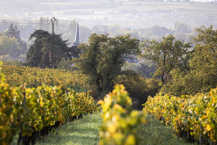 Fugue : visite libre dans le parc et le vignoble