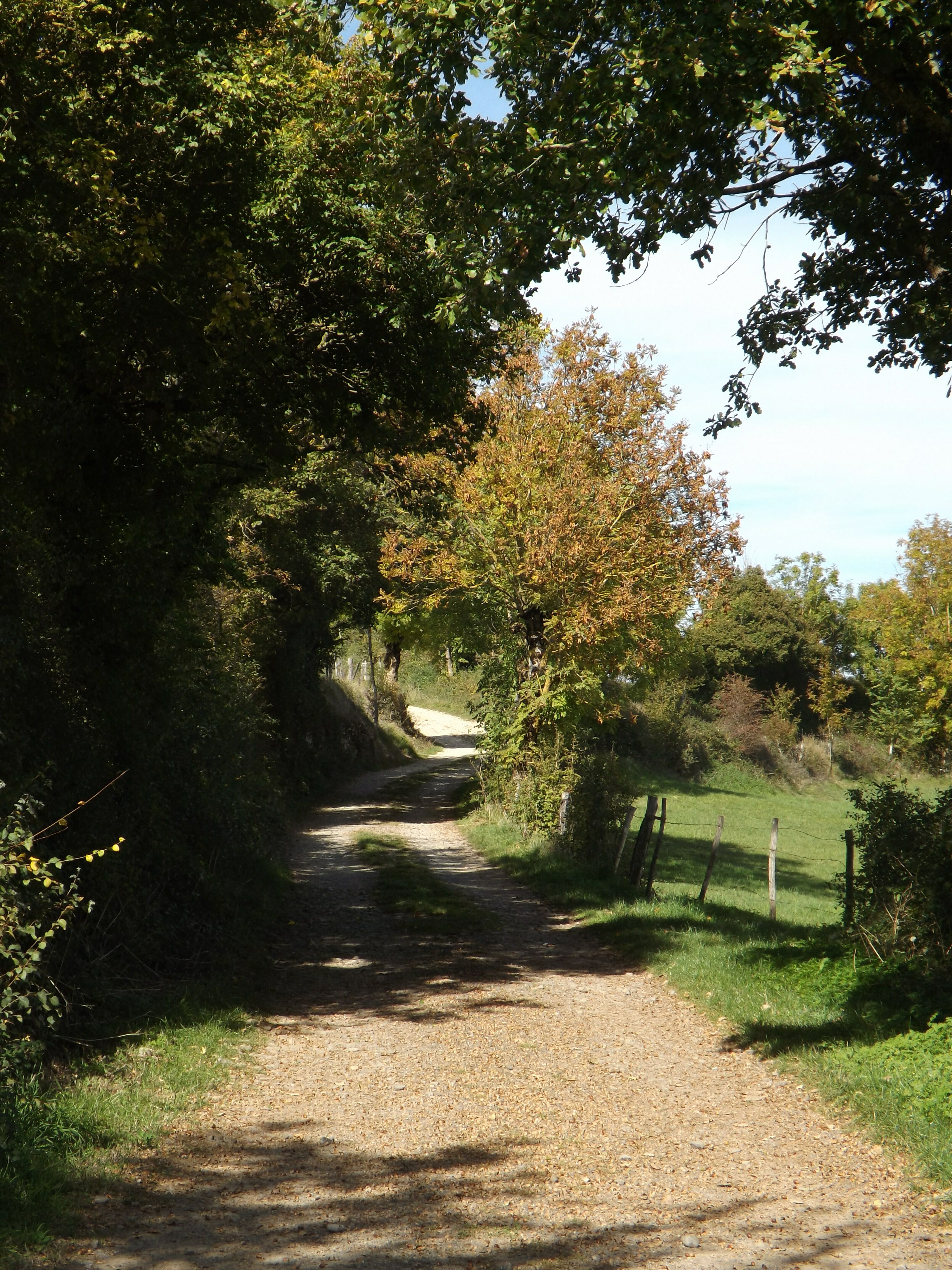 Randonnée sur la Trace de la Transhumance, de Varès... Le 21 sept 2024